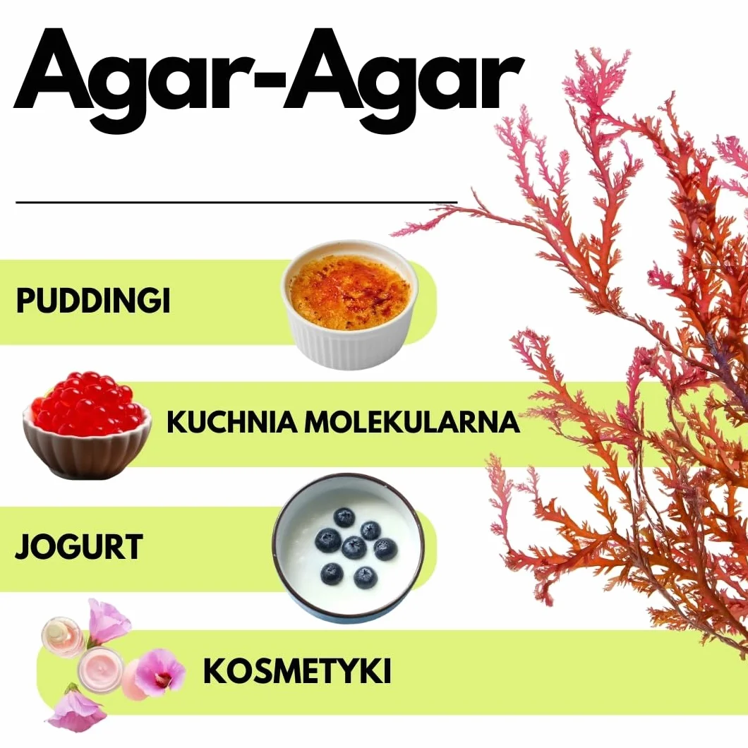SaporePuro AGAR AGAR w proszku 500 g – Naturalny środek żelujący BEZ GLUTENU – Idealny do kuchni molekularnej, jako zagęszczacz do deserów, dżemów, budyniów i lodów