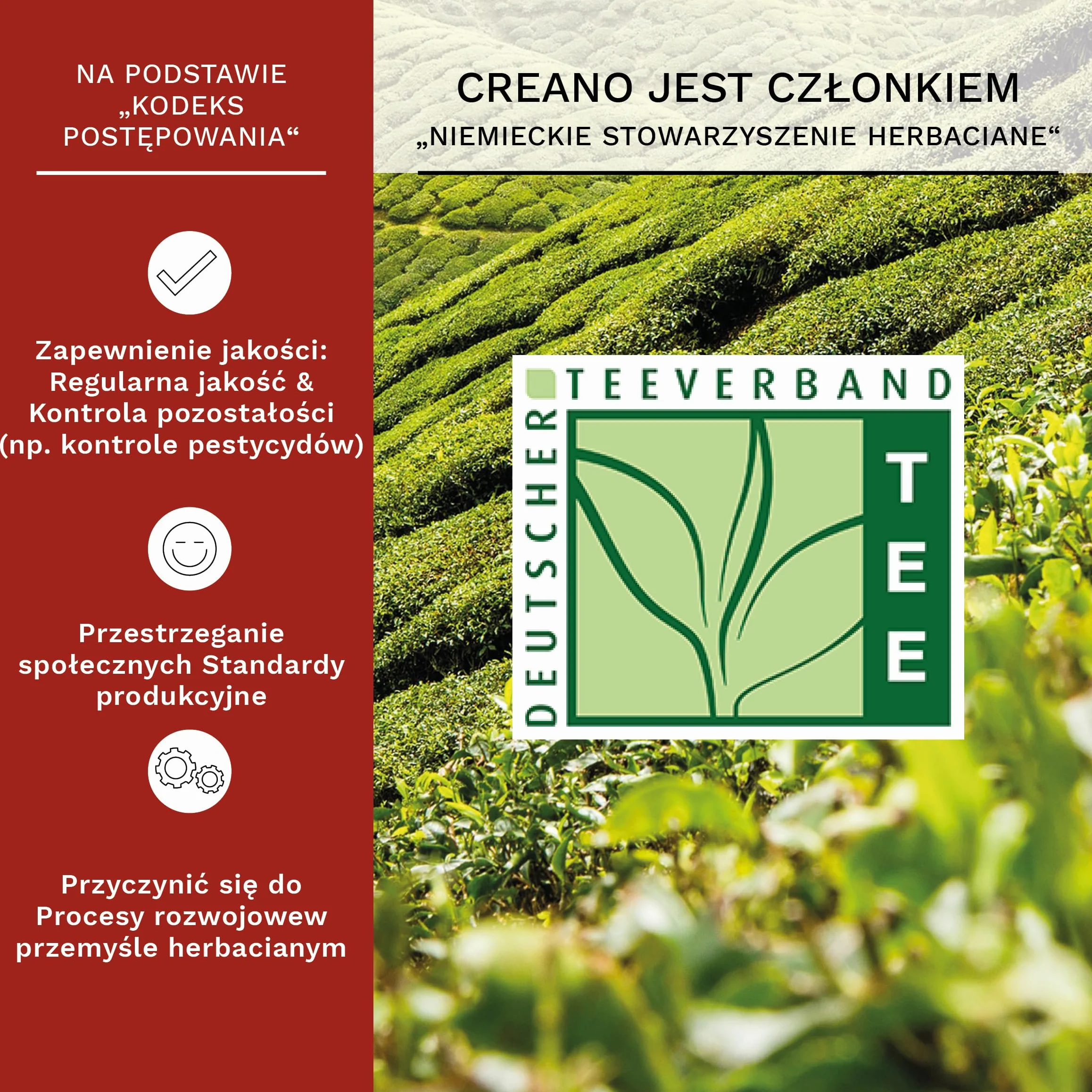 Creano Mieszanka kwiatów herbacianych - zestaw upominkowy ErblühTee ze szklanym dzbankiem i 6 kwiatami herbacianymi + 12 róż herbacianych w drewnianej skrzynce na herbatę w 6 rodzajach - biała herbata