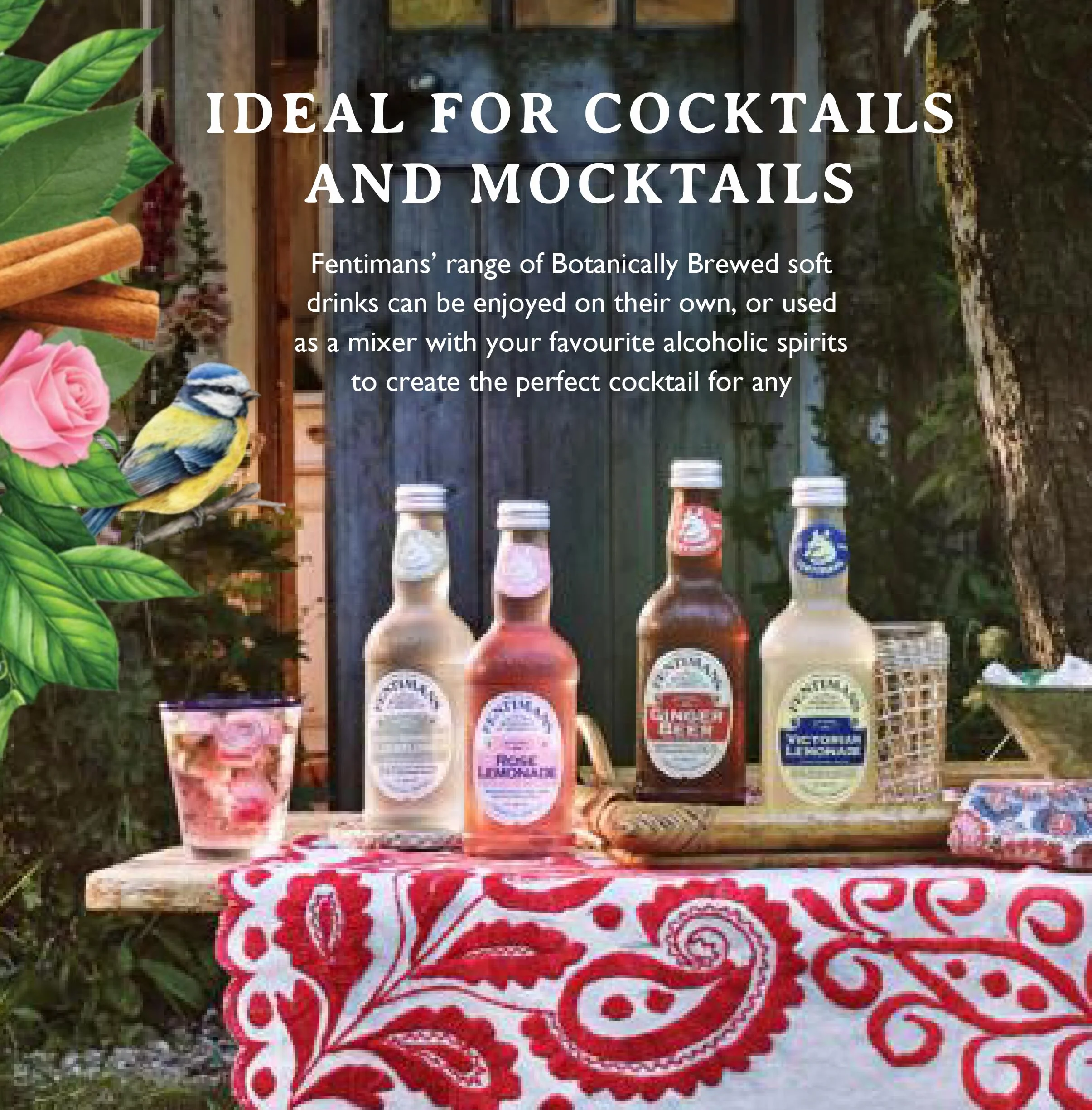 Fentimans Sparkling Curiosity Cola – zdrowy napój gazowany, naturalny napój gazowany bez sztucznych aromatów, konserwantów i słodzików, botanicznie warzony - Curiosity Cola, 275 ml (12 sztuk)