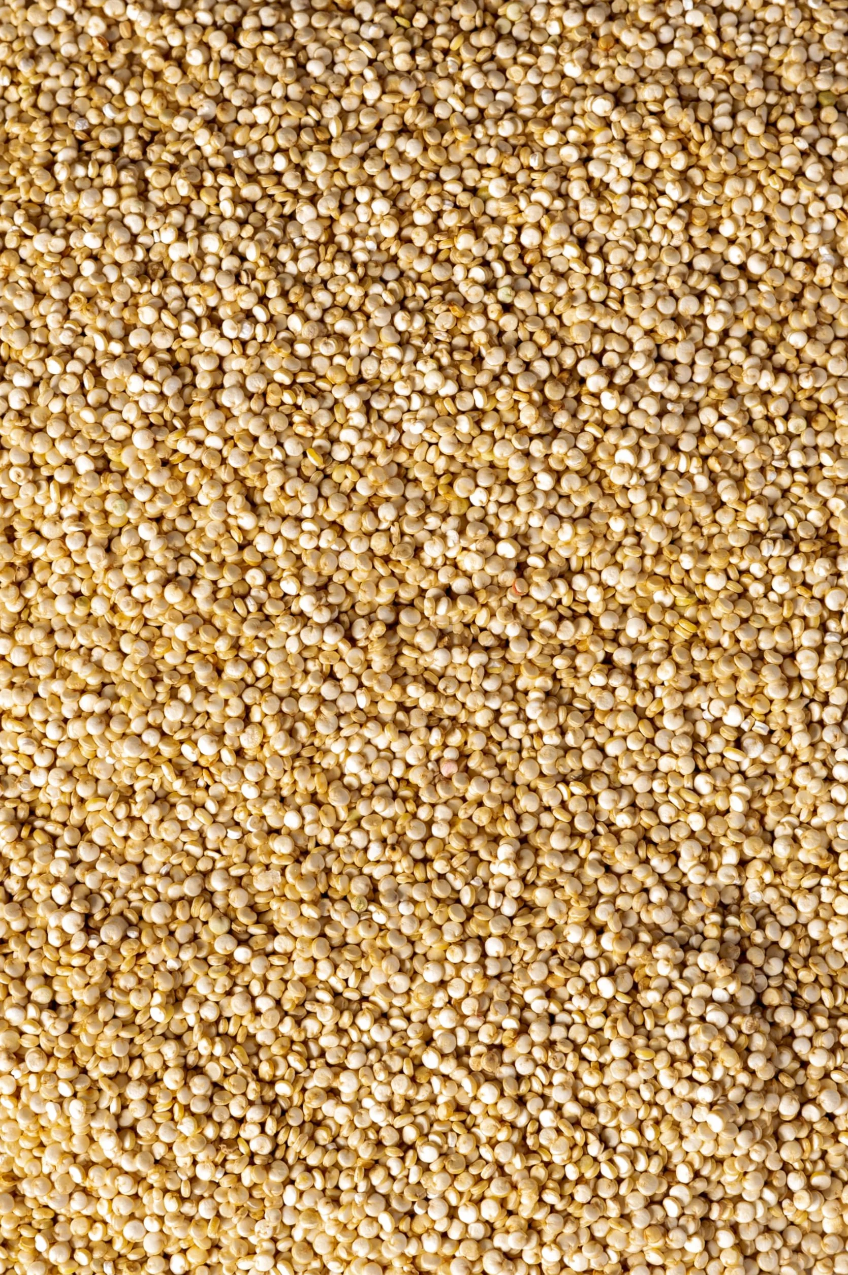 Biojoy BIO quinoa biała (komosa ryżowa), 100% natury jakość (1 kg)