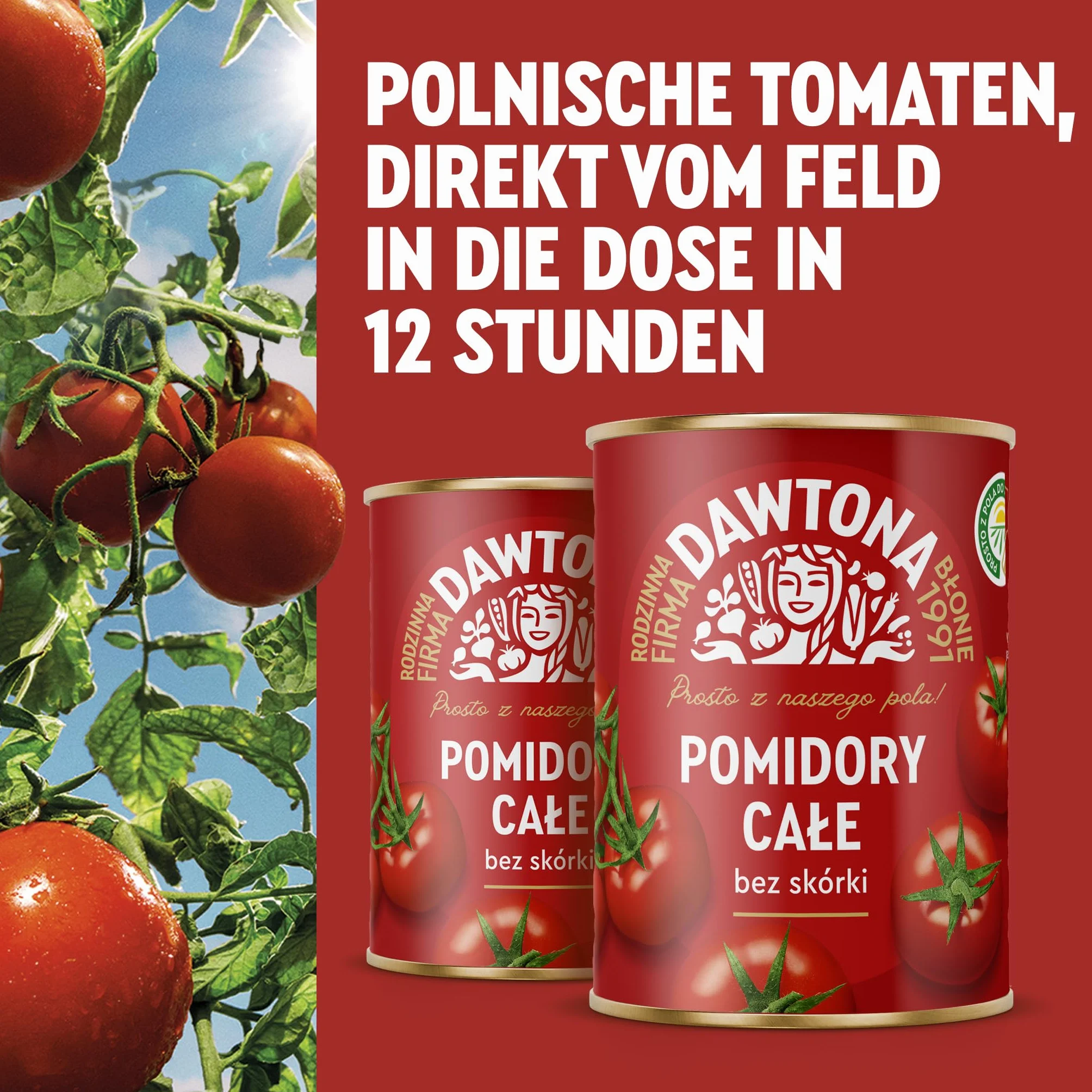 DAWTONA Pomidory całe bez skórki 12 x 400g - W soku pomidorowym, bez konserwantów - W puszce - Idealne do sosów, zup i dań jednogarnkowych