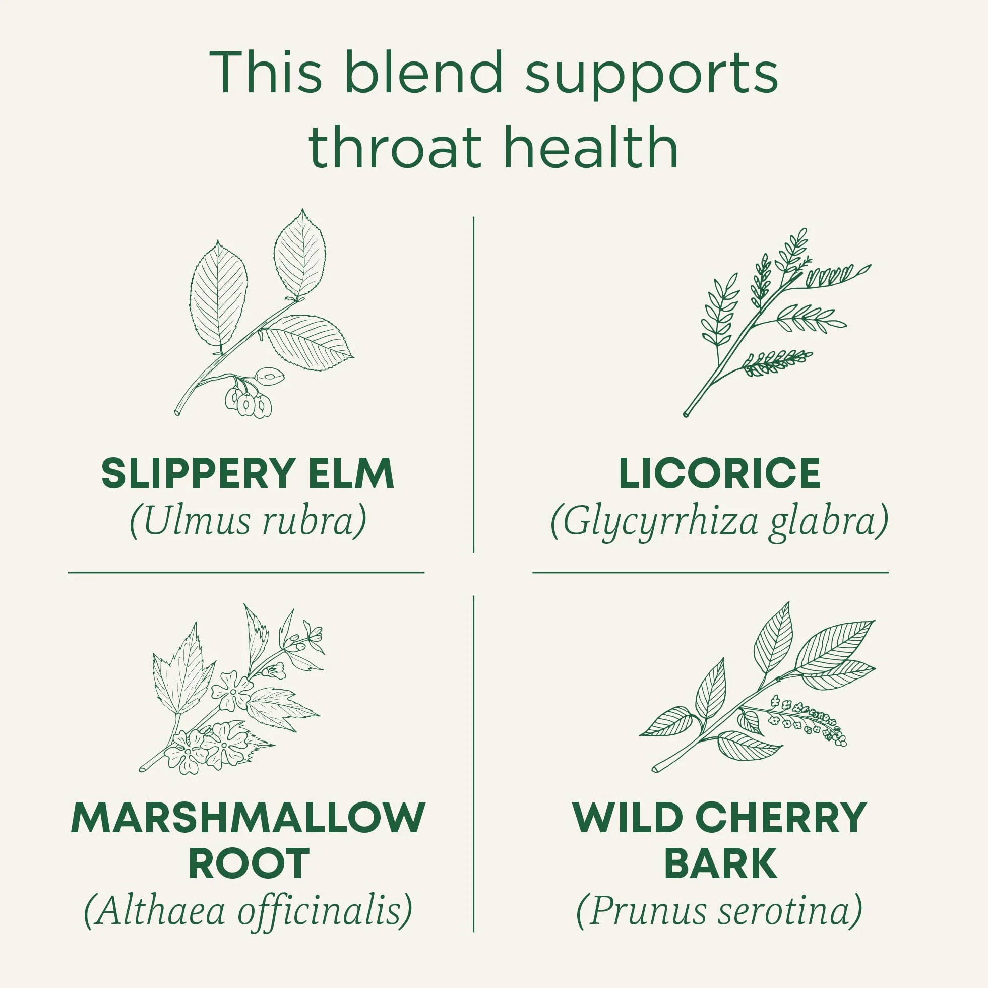 Traditional Medicinals Organic Throat Coat Herbal Tea, 16 Tea Bags