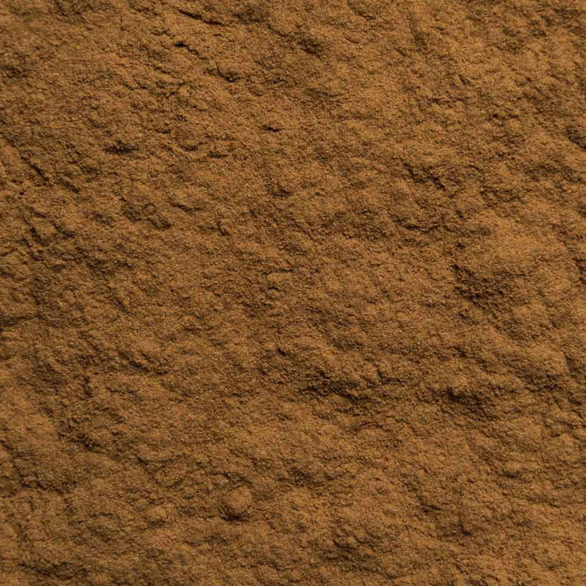 Cynamon Cejlon w Proszku Bio 250g - 100% Bio-Jakość - Cynamon w Proszku - Wegański - Bez Dodatku Cukru - Rozlewan i Kontrolowany w Niemczech - Biotiva