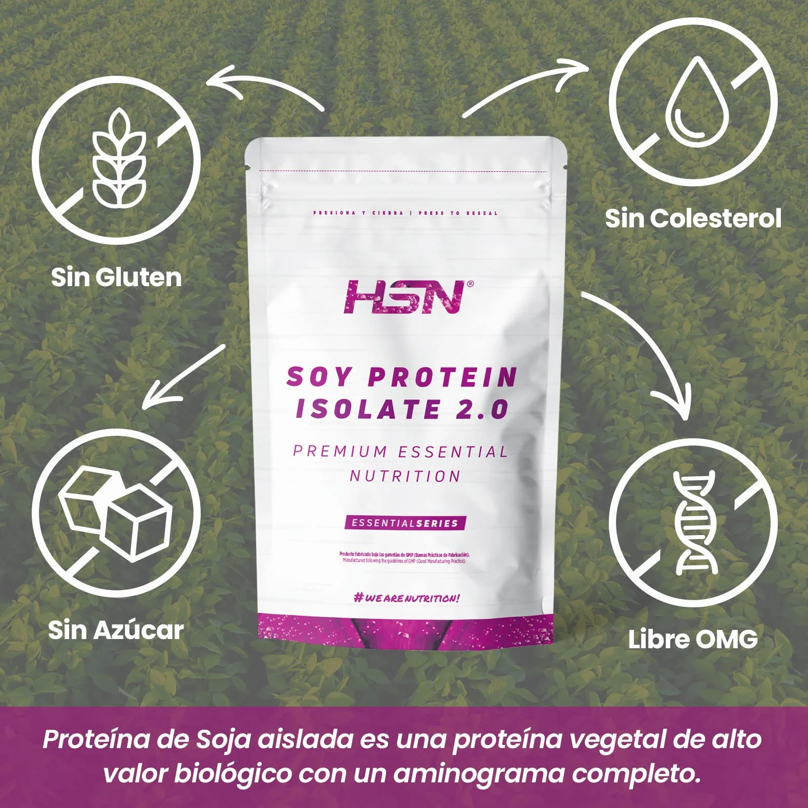 Białko sojowe izolowane HSN | Smak szarlotka 500 gr = 17 sztuk w opakowaniu | 100% wegańskie | am Protein Isolate | No-GMO, Bez glutenu