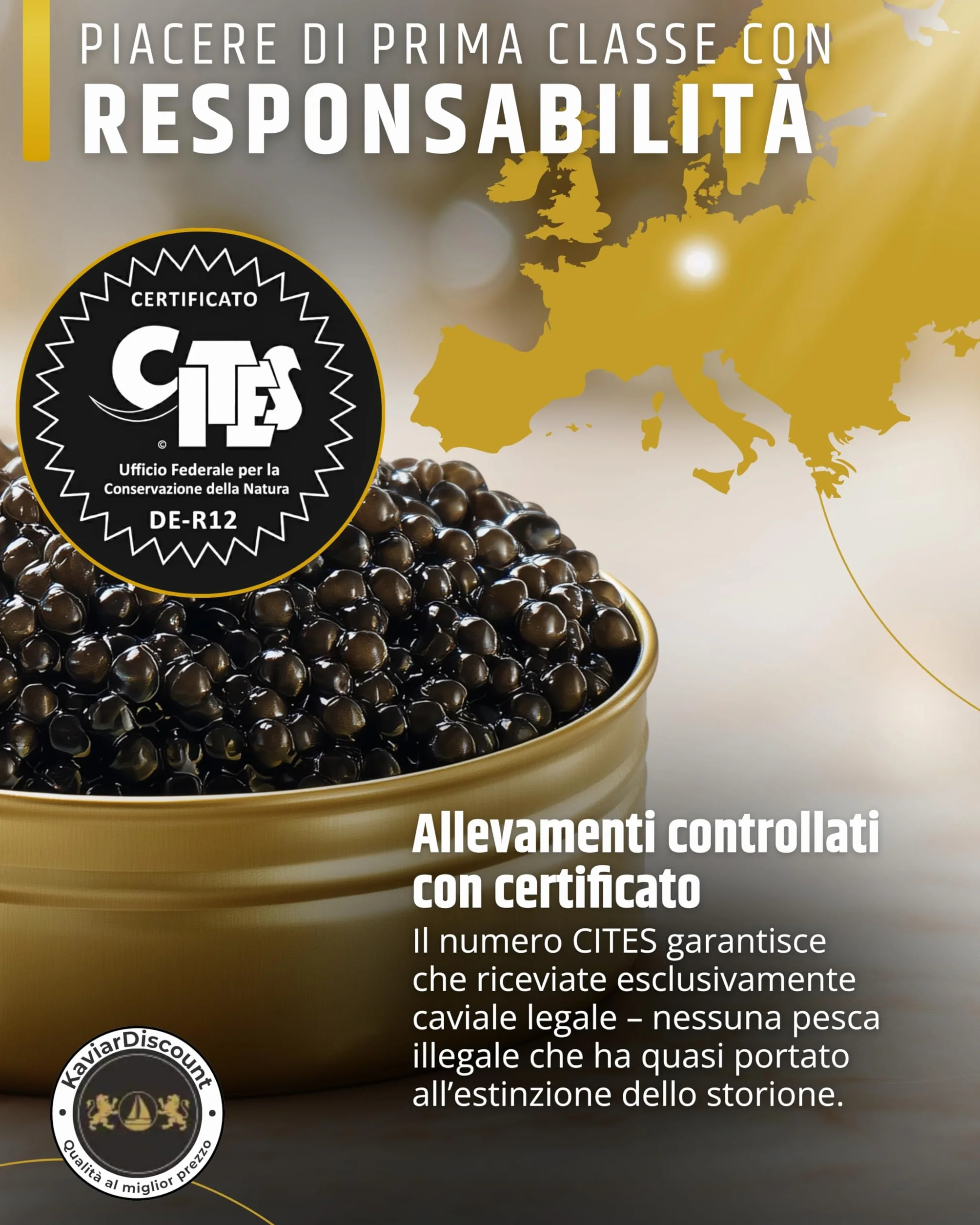 Kawior z jesiotra syberyjskiego Classic 250 g hodowla UE