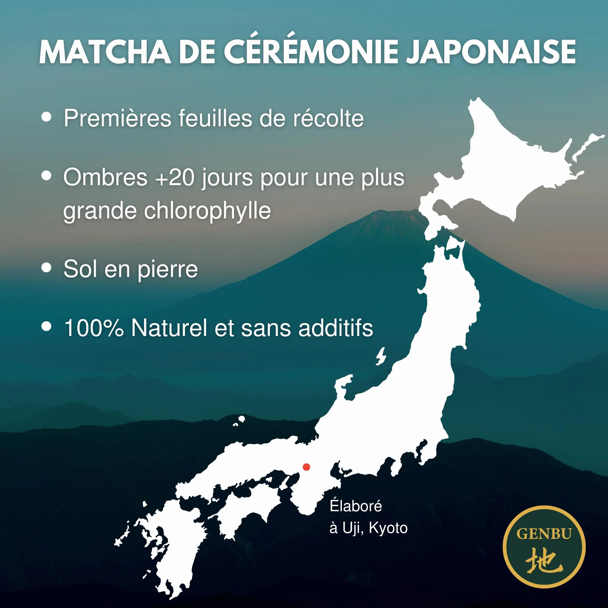 GENBU MATCHA- Ceremonial Matcha Tea 100g - Naturalna Zielona Herbata - Najwyższej Jakości Matcha Latte