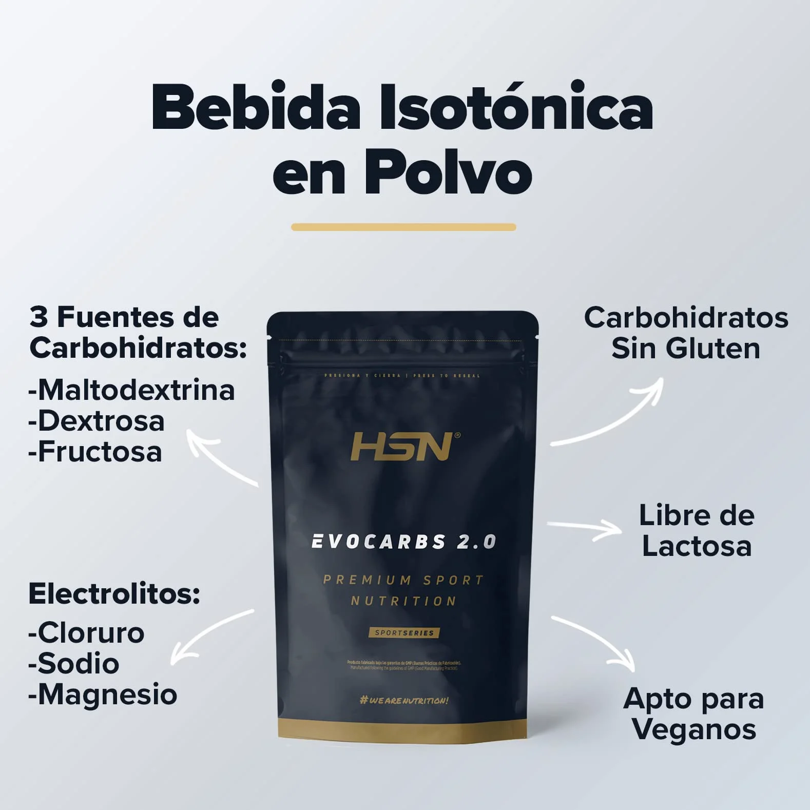 HSN Węglowodany (Maltodekstryna fruktoza) i sole mineralne Evocarbs 2.0 | Czarna porzeczka 500g | Izotoniczny napój w proszku z elektrolitami | Nie zawiera dozownika | Wegańskie, Bezglutenowe