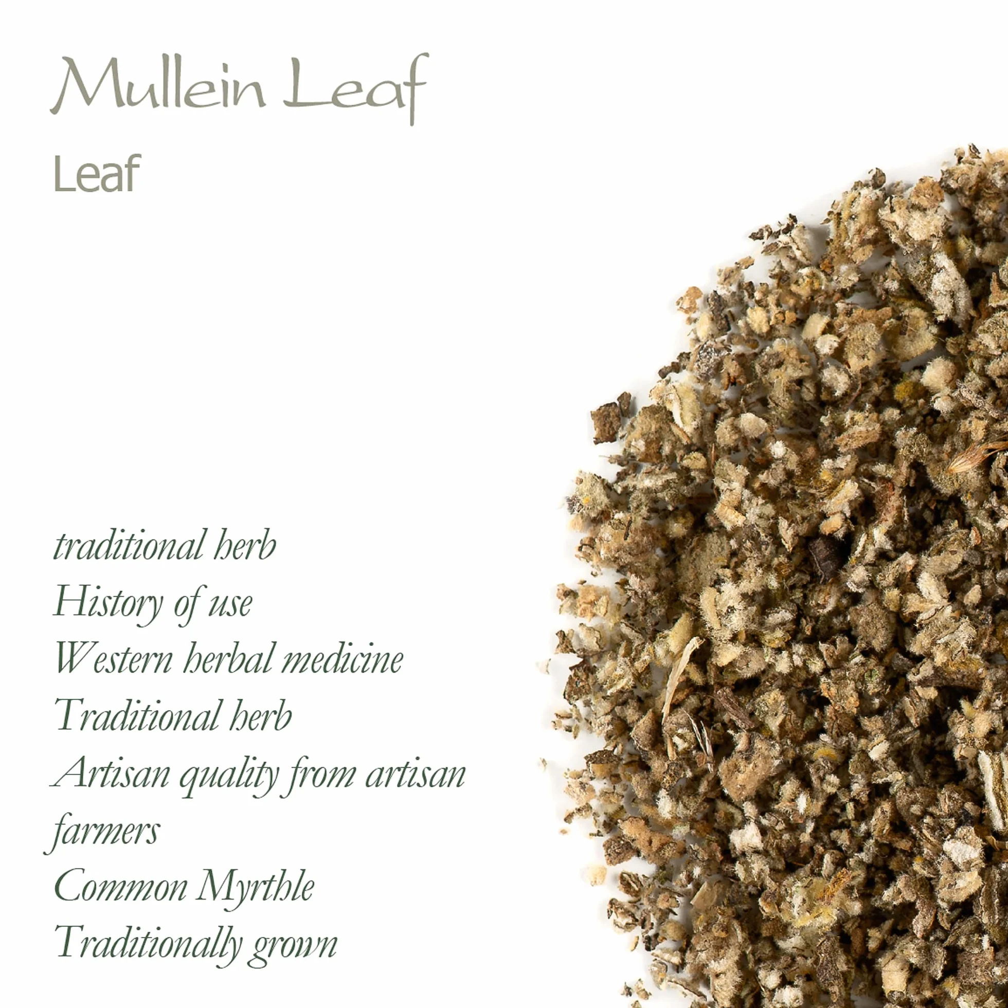 Gordolobo Tea Verbascum Mullein Leaf Organic Herb