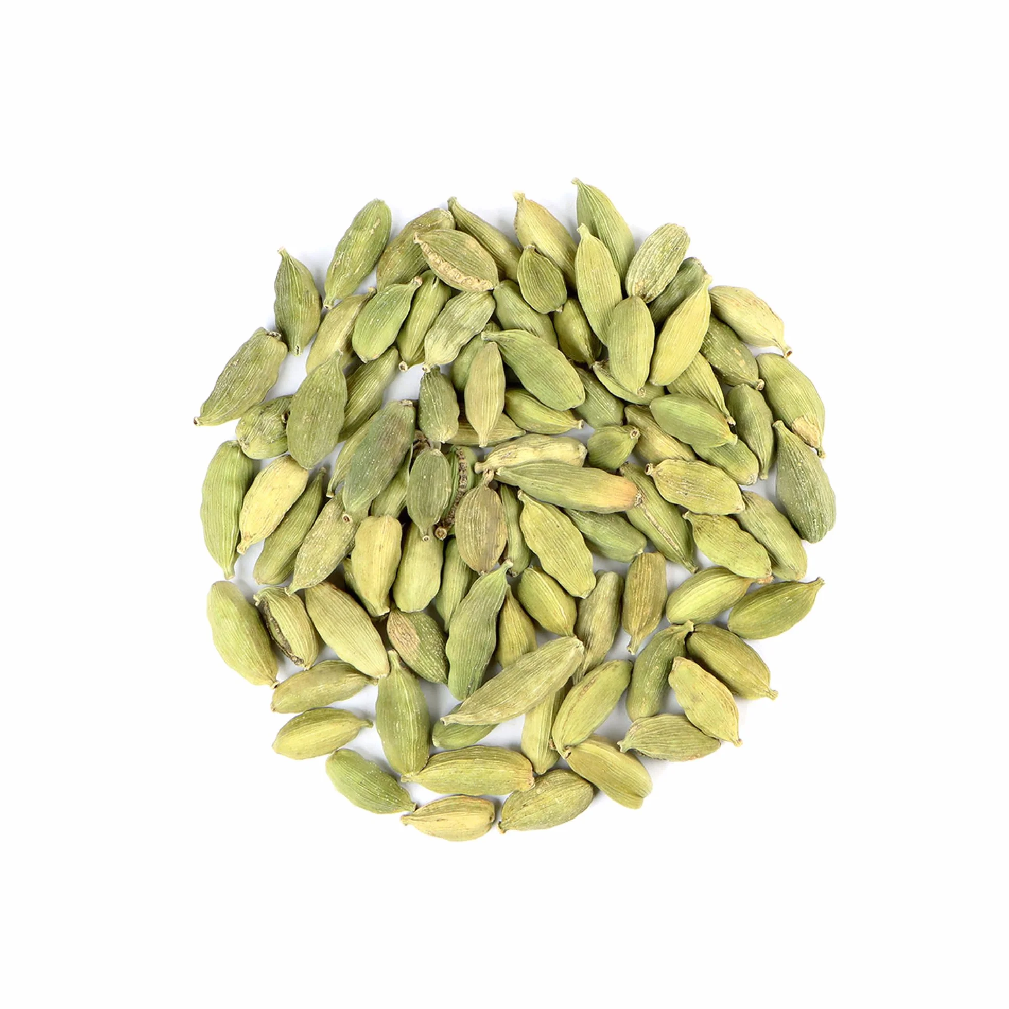 Spicy Welt Kardamon Cały (250g) – Zielony Kardamon w Ziarnach do Kawy, Herbaty, Ciast Drożdżowych, Owsianki i Deserów | Egzotyczny Cytrusowy Aromat | 100% Naturalny, Bez Dodatków