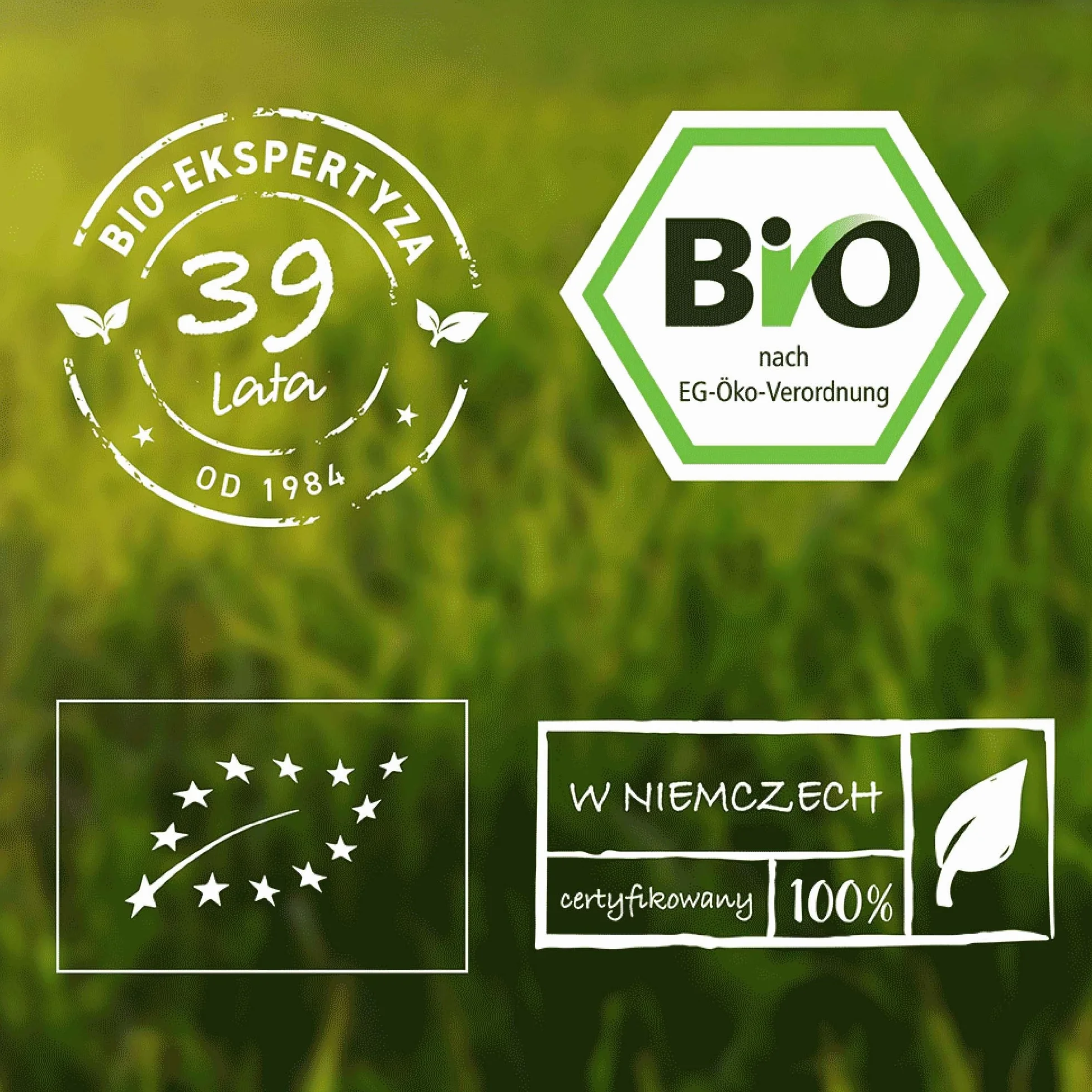Herbata imbirowa 200g organiczna