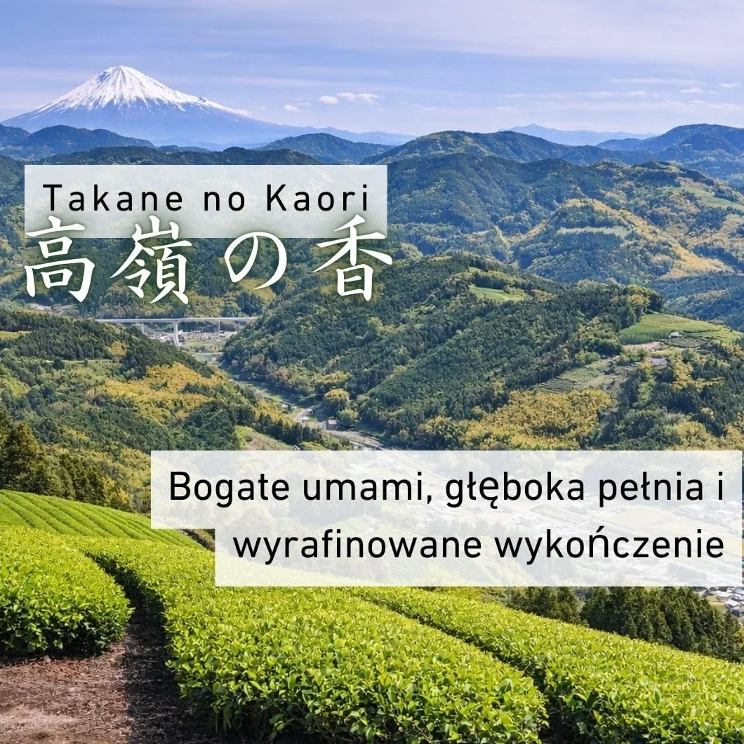 Daisan Tea Ryogouchi Sencha 100 g – Japońska zielona herbata premium z Shizuoka | 1. miejsce w Japońskim Krajowym Konkursie Herbacianym