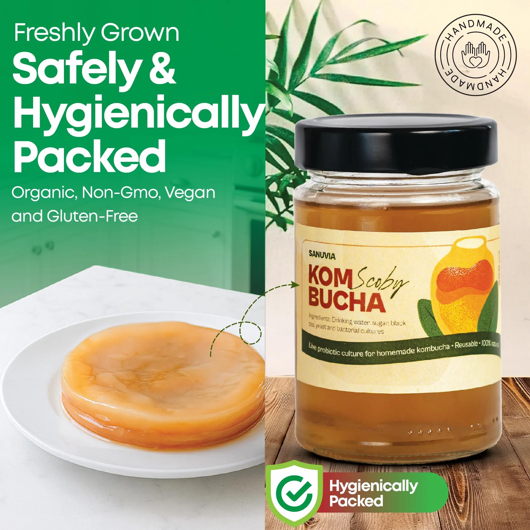 SANUVIA Kombucha SCOBY Starter Culture – Grzybek herbaciany z 300 ml herbaty startowej w szklanym słoiku – Wegański, żywa kultura, wielokrotnego użytku – Instrukcje na etykiecie – 100% naturalny