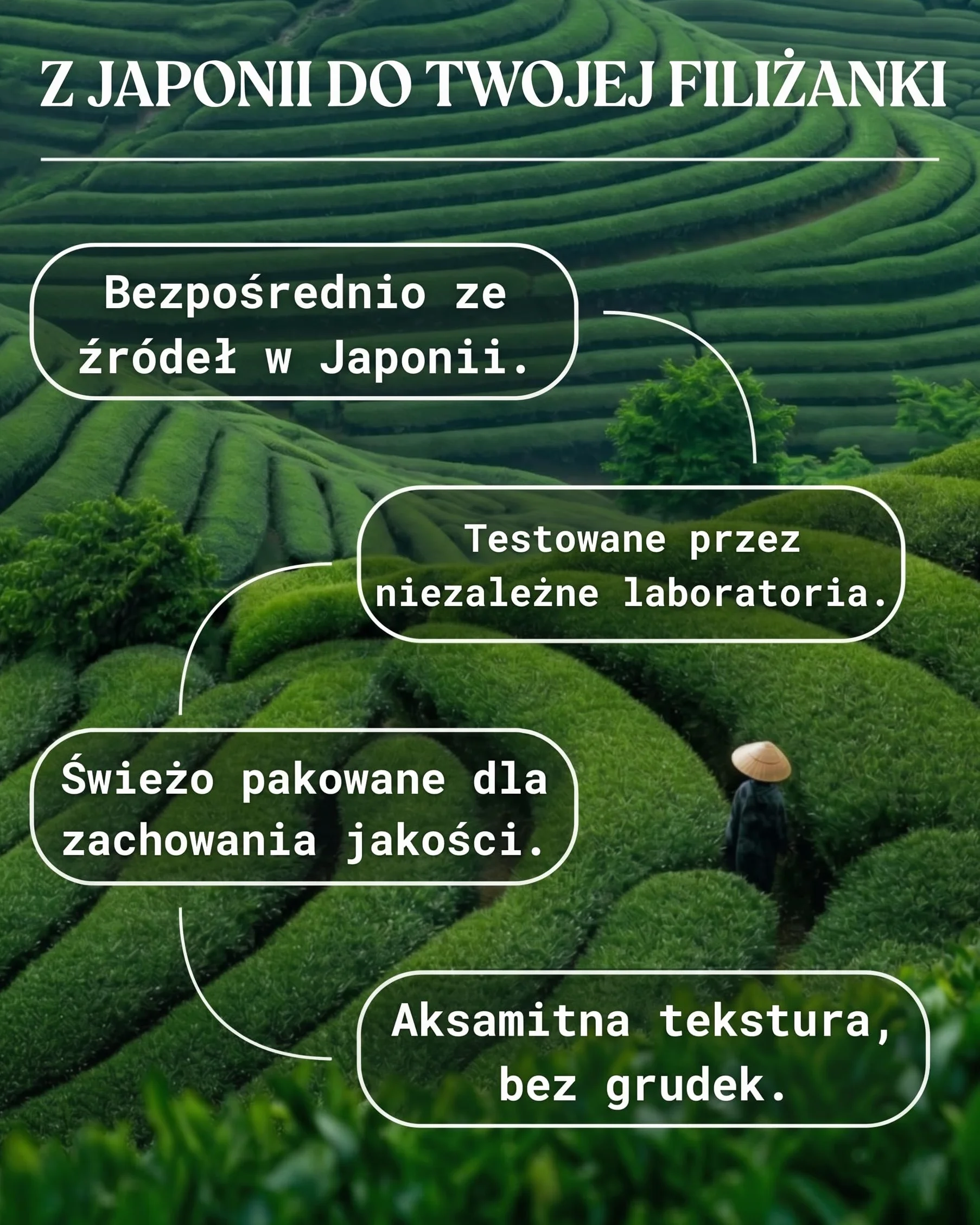NaturaleBio Herbata Matcha Organiczna Gatunek Ceremonialny - Proszek Zielonej Herbaty 100g z Uji Kyoto Japonia - Bio Certyfikat Europejski - Idealna do Ceremonii Herbacianej i Latte