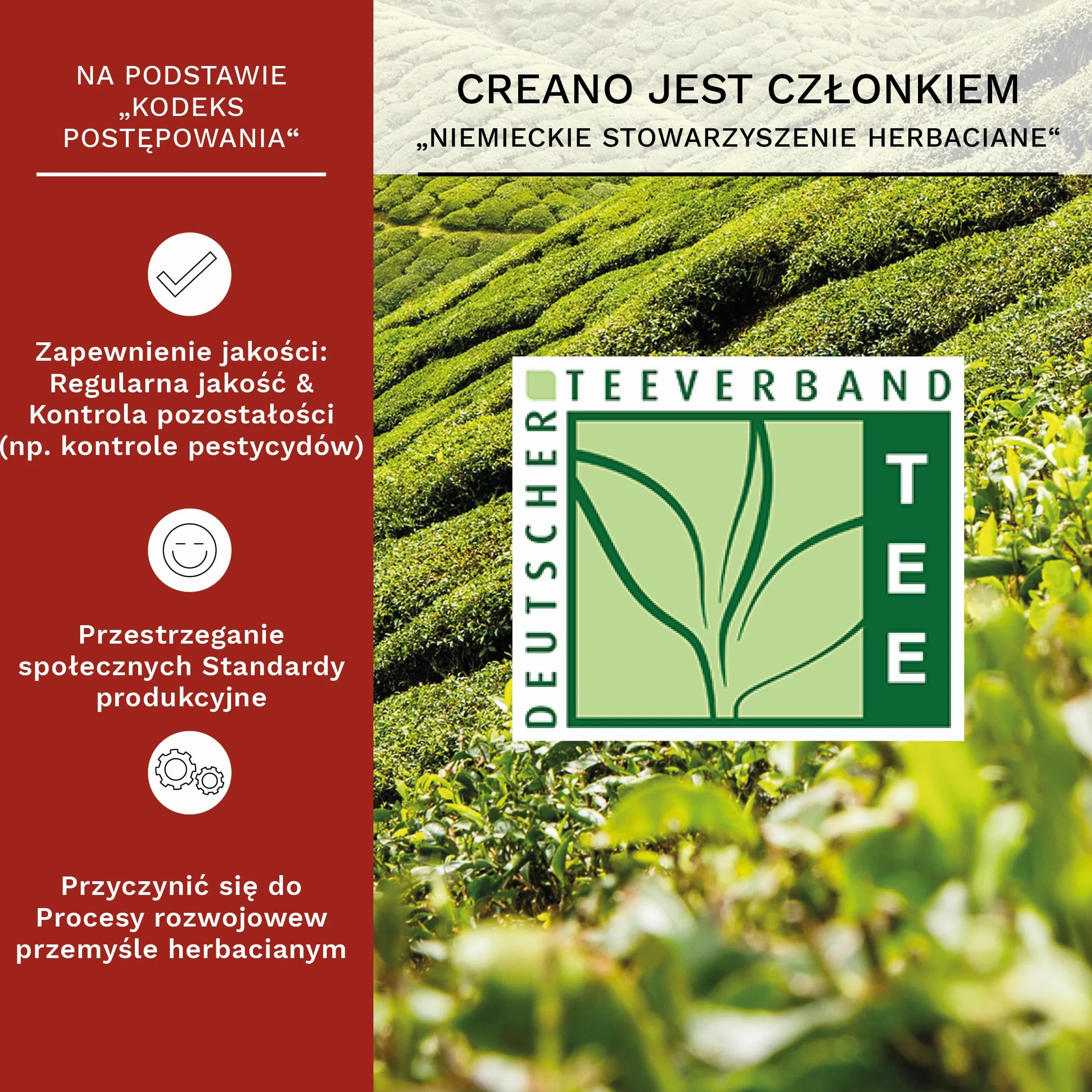 Creano Mieszanka kwiatów herbacianych zestaw upominkowy herbata kwitnąca ze szklanym dzbankiem i 2 szklankami termicznymi 250 ml biała herbata