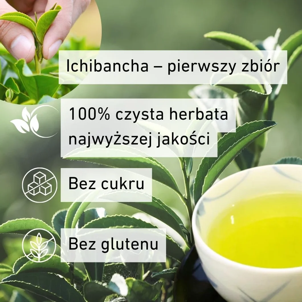 Daisan Tea Ryogouchi Sencha 100 g – Japońska zielona herbata premium z Shizuoka | 1. miejsce w Japońskim Krajowym Konkursie Herbacianym