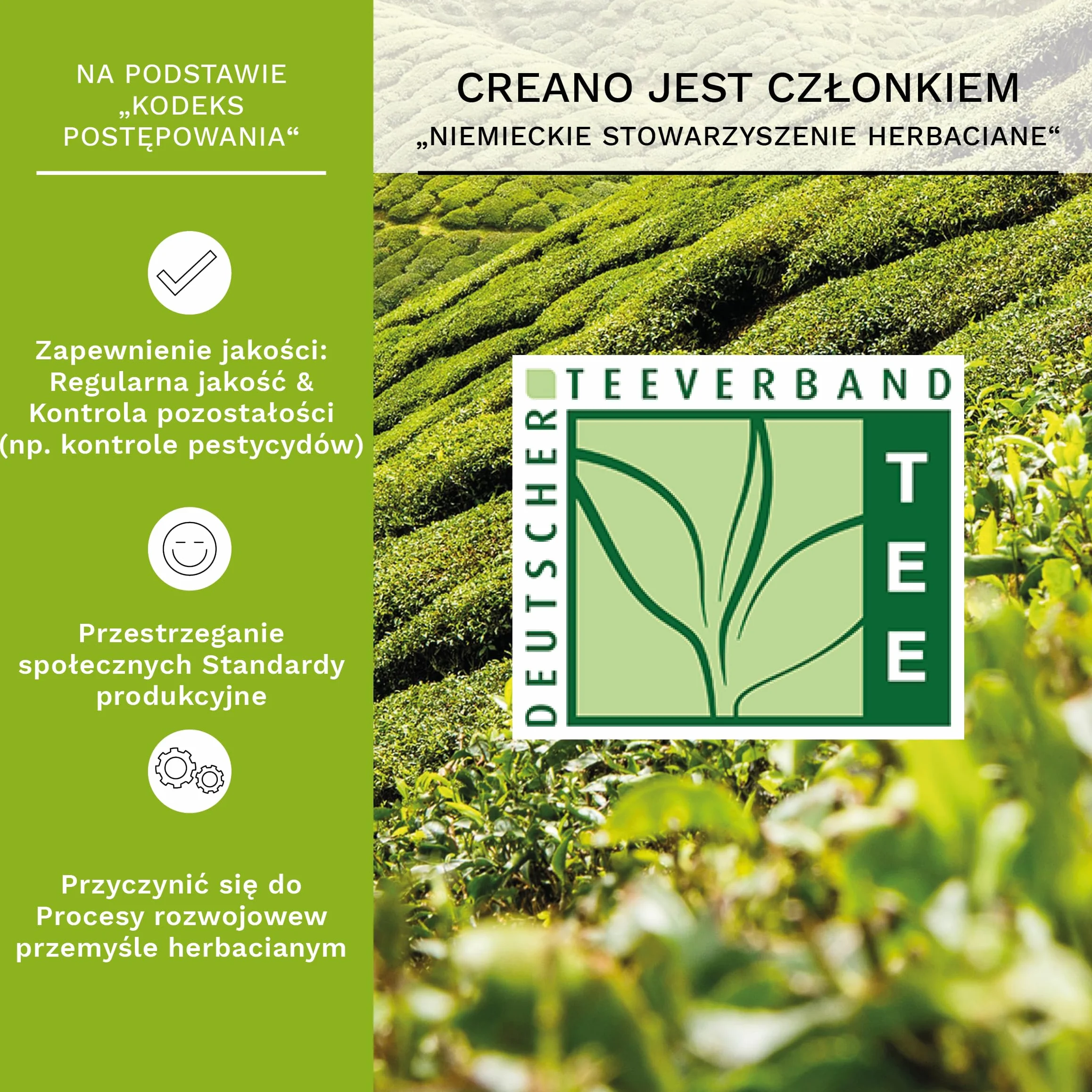 Creano zestaw upominkowy z kwitnącą herbatą, szklany dzbanek, 6 odmian róż herbacianych