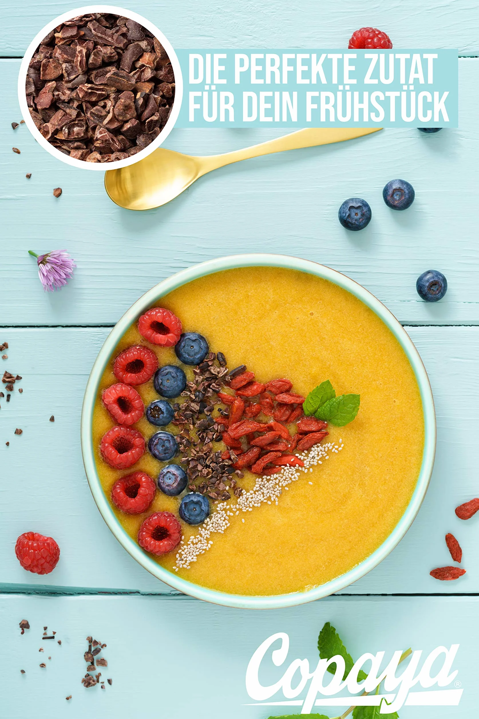 Copaya Bio kakao Nibs Roh bez dodatków, kakao z peruańskich ziaren kakao, kontrolowane ziarna premium bez cukru, niepalone i niesłodkie, opakowanie próbne 250 g
