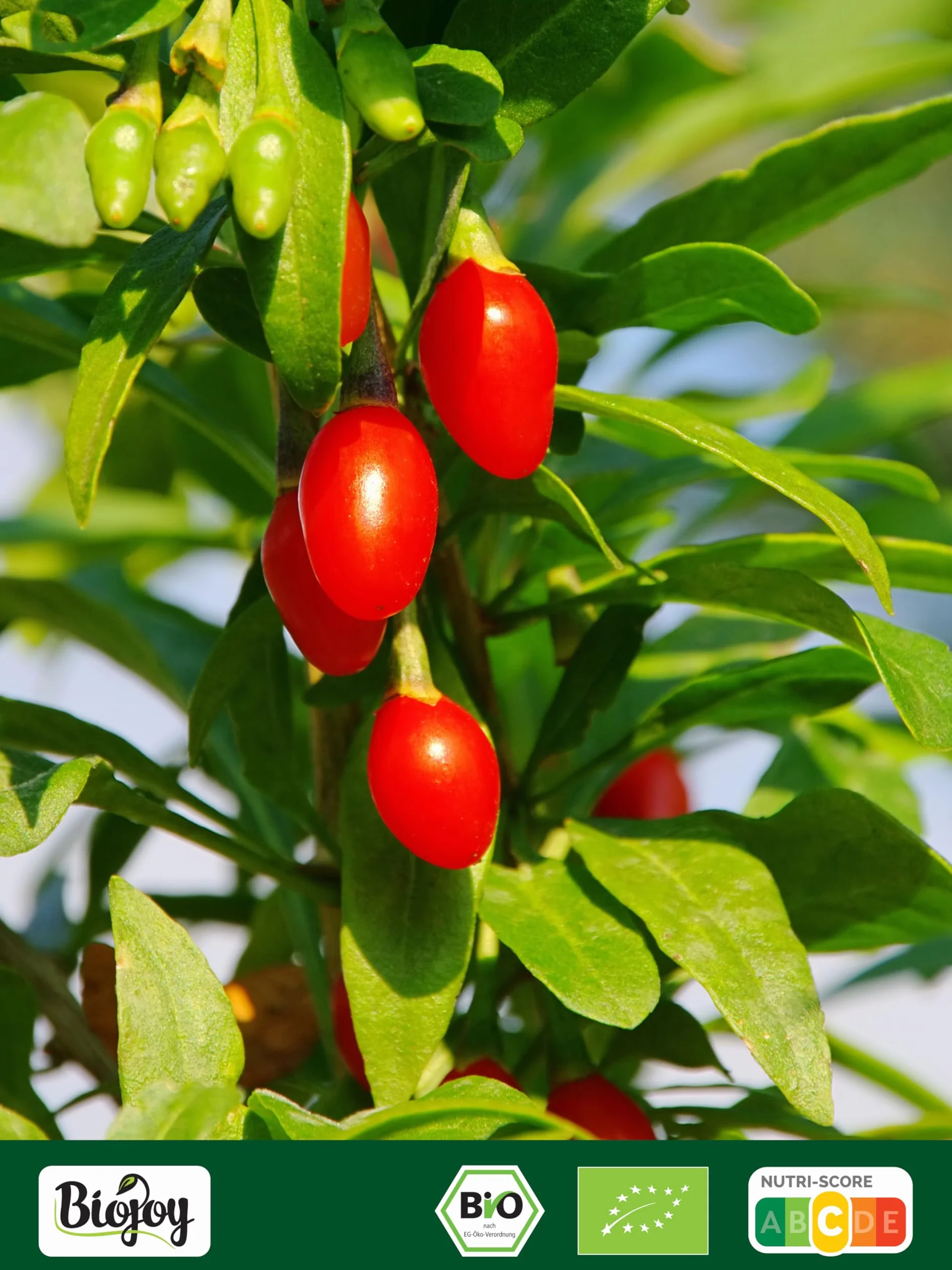 Biojoy BIO-Suszone Jagody Goji, niesłodzone i niesiarkowane 1 kg