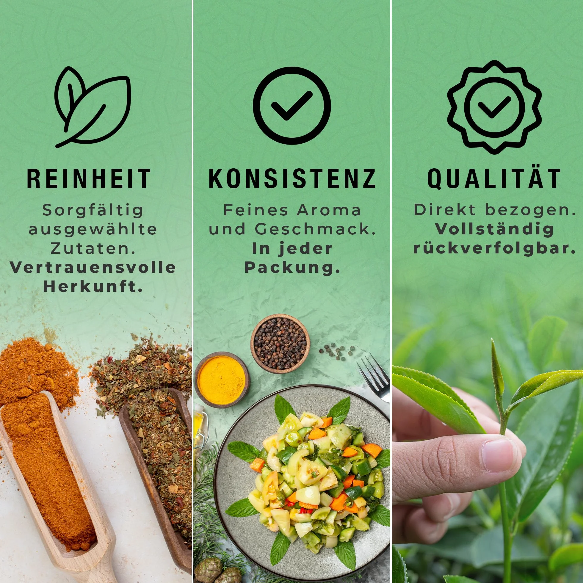 Spicy Welt Kardamon Cały (250g) – Zielony Kardamon w Ziarnach do Kawy, Herbaty, Ciast Drożdżowych, Owsianki i Deserów | Egzotyczny Cytrusowy Aromat | 100% Naturalny, Bez Dodatków
