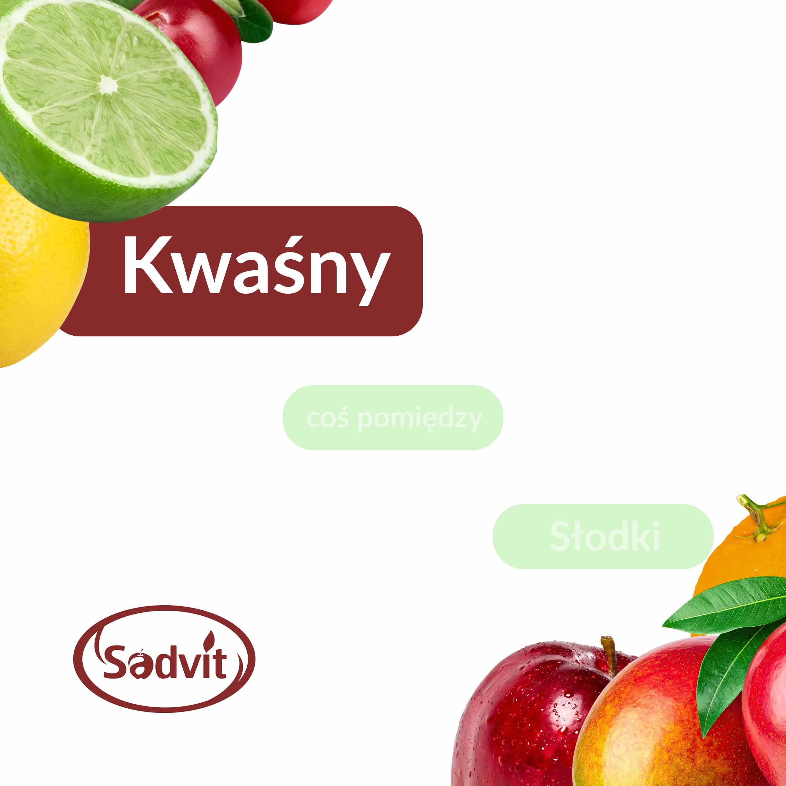 Sadvit | Intensywny Sok z Malin nie z koncentratu | 1,5L Bag in Box Sok owocowy NFC | Tłoczony Kwaśny Owocowy | Bez Cukru i Konserwantów | Alternatywa do Syropów i Napojów | Do Koktajli i Lemoniad
