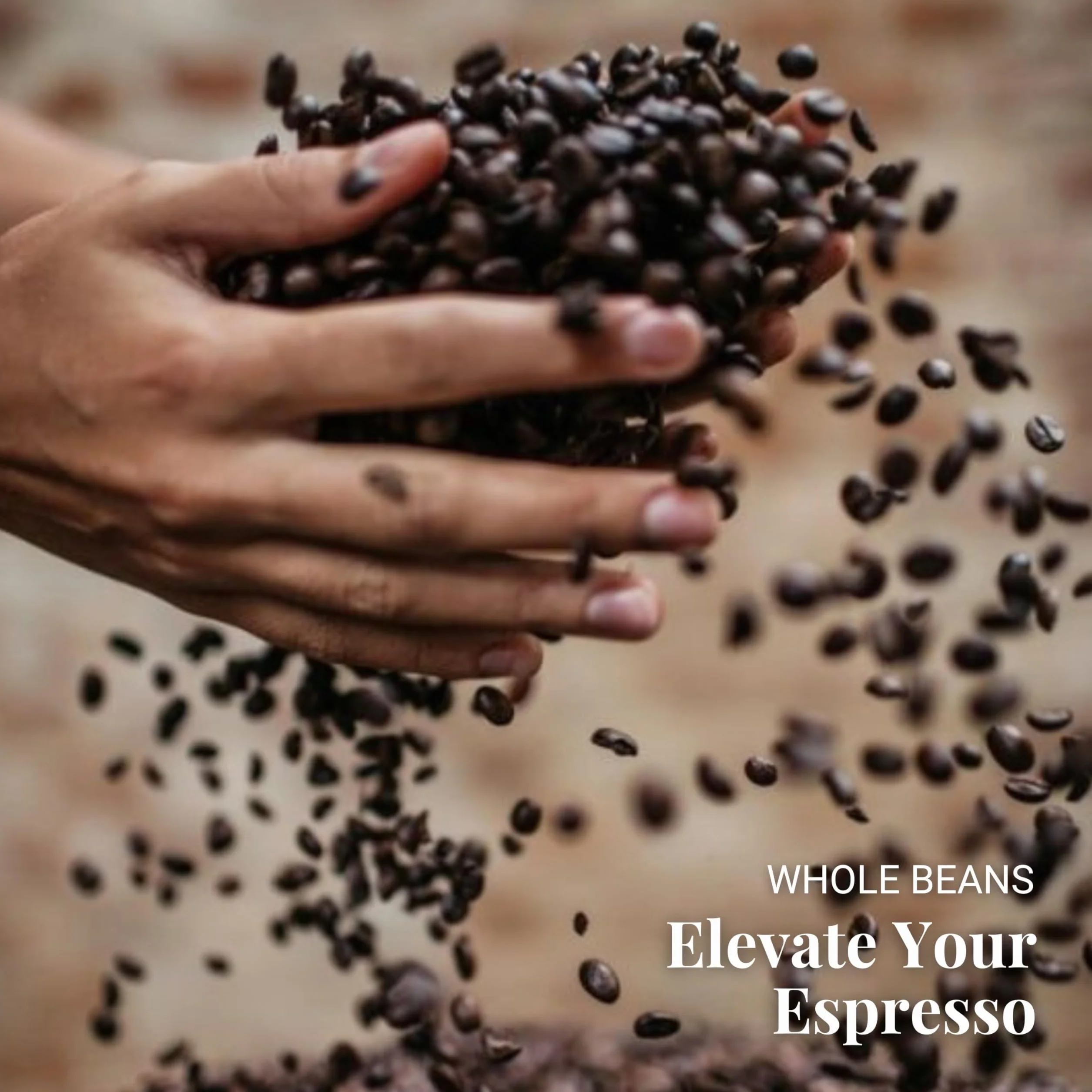 Caffè Vergnano 1882 Anticabottega Kawa Ziarnista, Espresso Roast