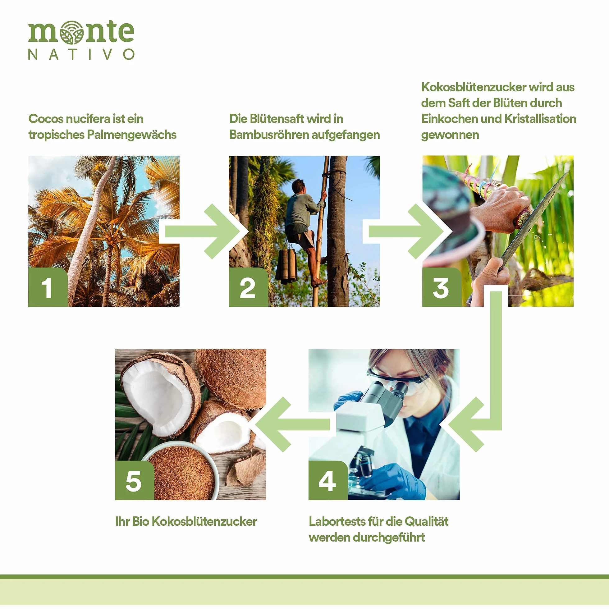 Organiczny cukier z kwiatu kokosowego Monte Nativo 1kg (1000g) – nierafinowany – pełnowartościowa alternatywa cukru – Z kontrolowanej uprawy ekologicznej - Wegański – Bez dodatków