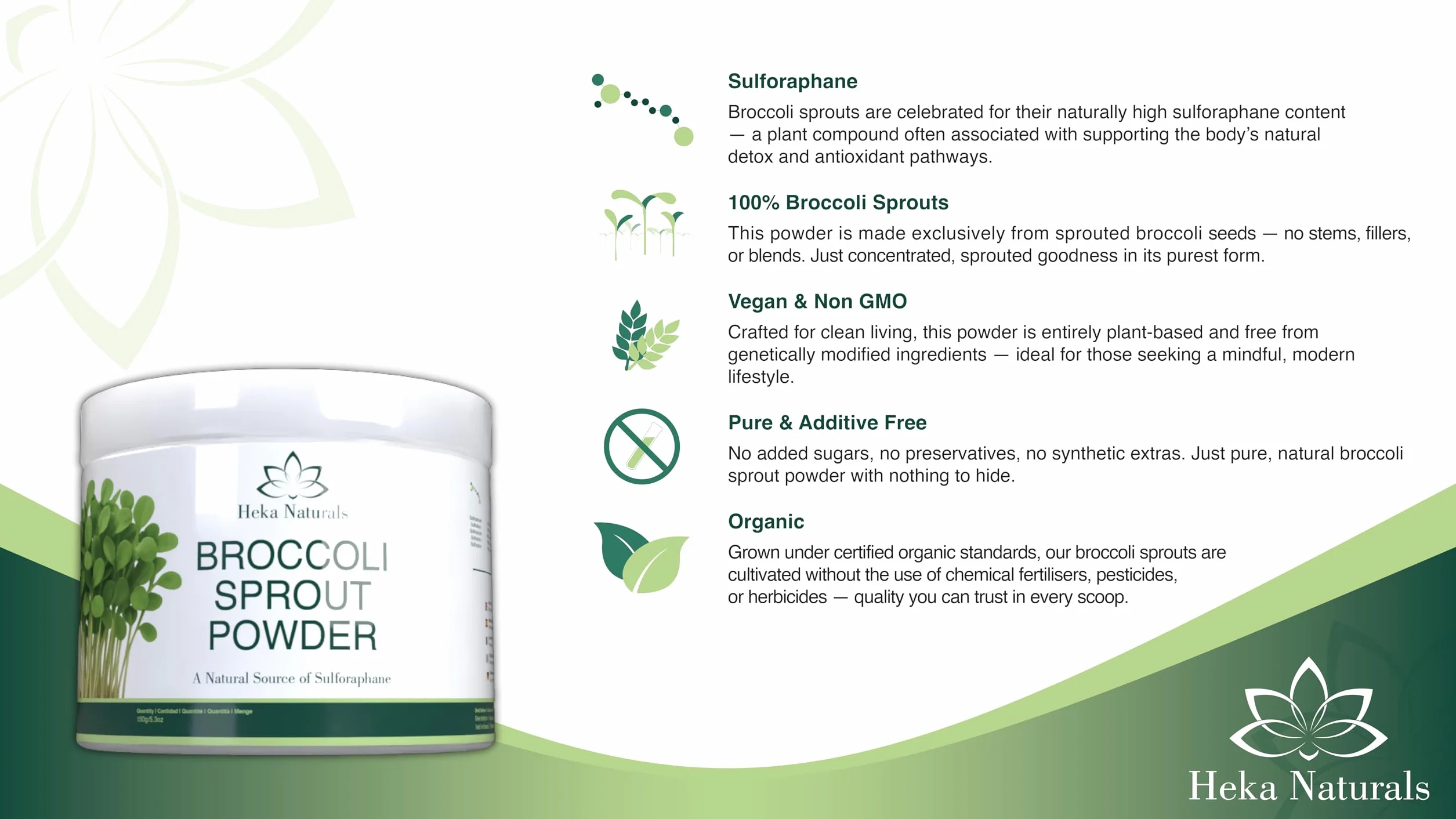 Heka Naturals Kiełki brokułów w proszku – 100% czysta superfood z kiełkujących nasion – sulforafan, wegański, wolny od inżynierii genetycznej i dodatków (małe (150 g))
