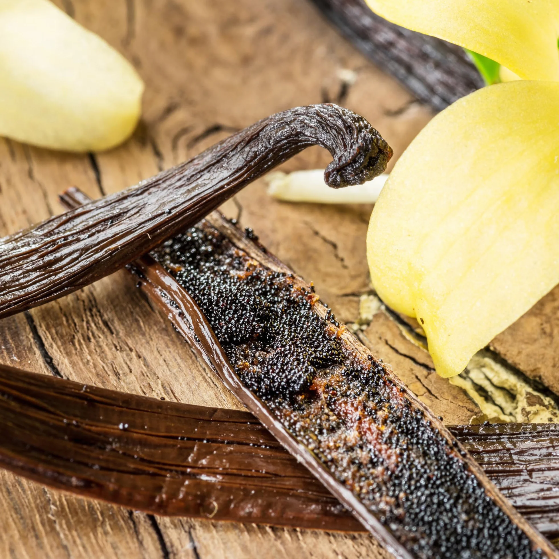 Alpi Nature Ekologiczny Proszek z Wanilii Bourbon 25g z Madagaskaru Klasy A