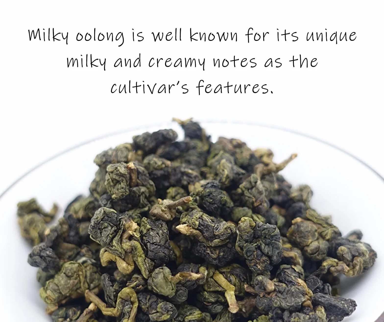 Trilliant -Fomsa Tea Milky Oolong - Tajwan JinXuan With Floral and Creamy Notes, Loose Leaf Gongfu Tea in Gift Package 113g
