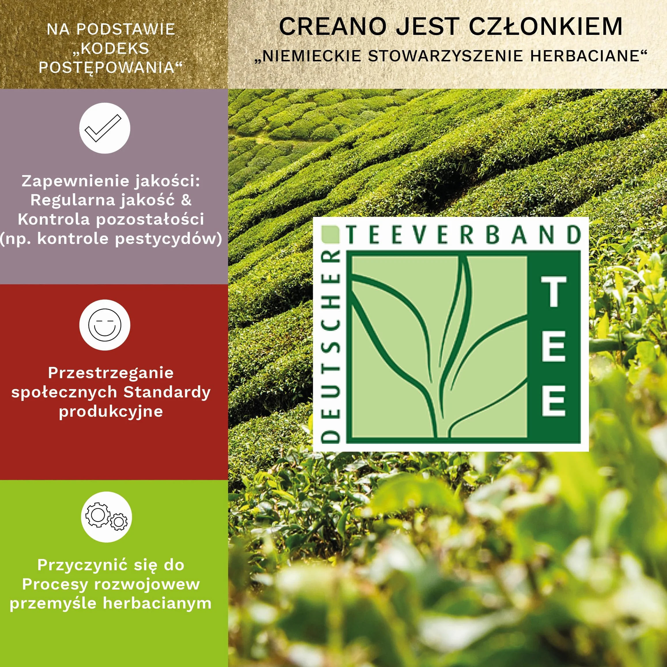 Zestaw prezentowy Creano 6 Tea Flower: biała, czarna i zielona herbata w eleganckim magnetycznym pudełku ze srebrnym tłoczeniem – 6 różnych odmian – prezent świąteczny