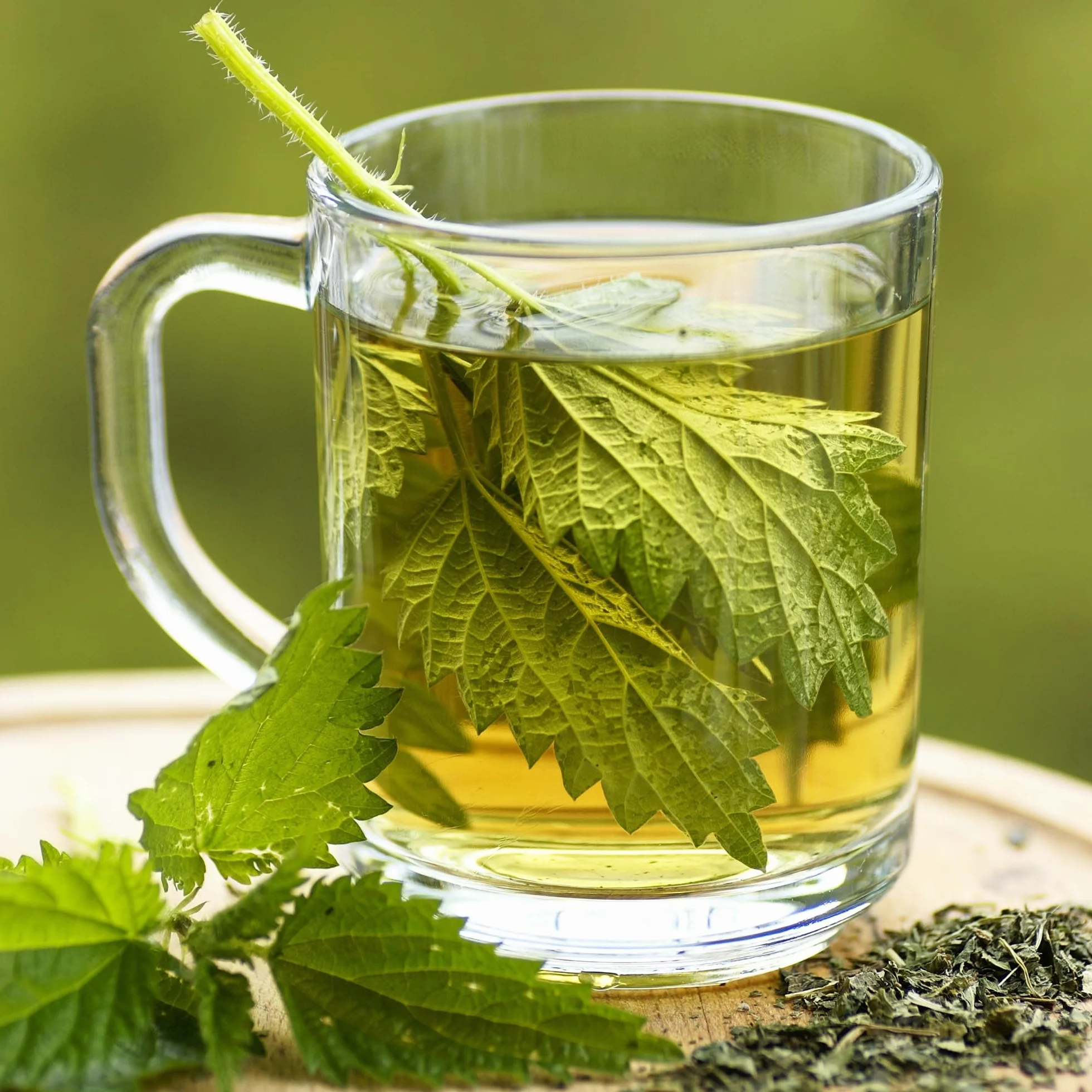 Alpi Nature Herbata z Pokrzywy 500g, Suszone i Cięte Liście Pokrzywy do Herbaty Ziołowej, Urtica Dioica