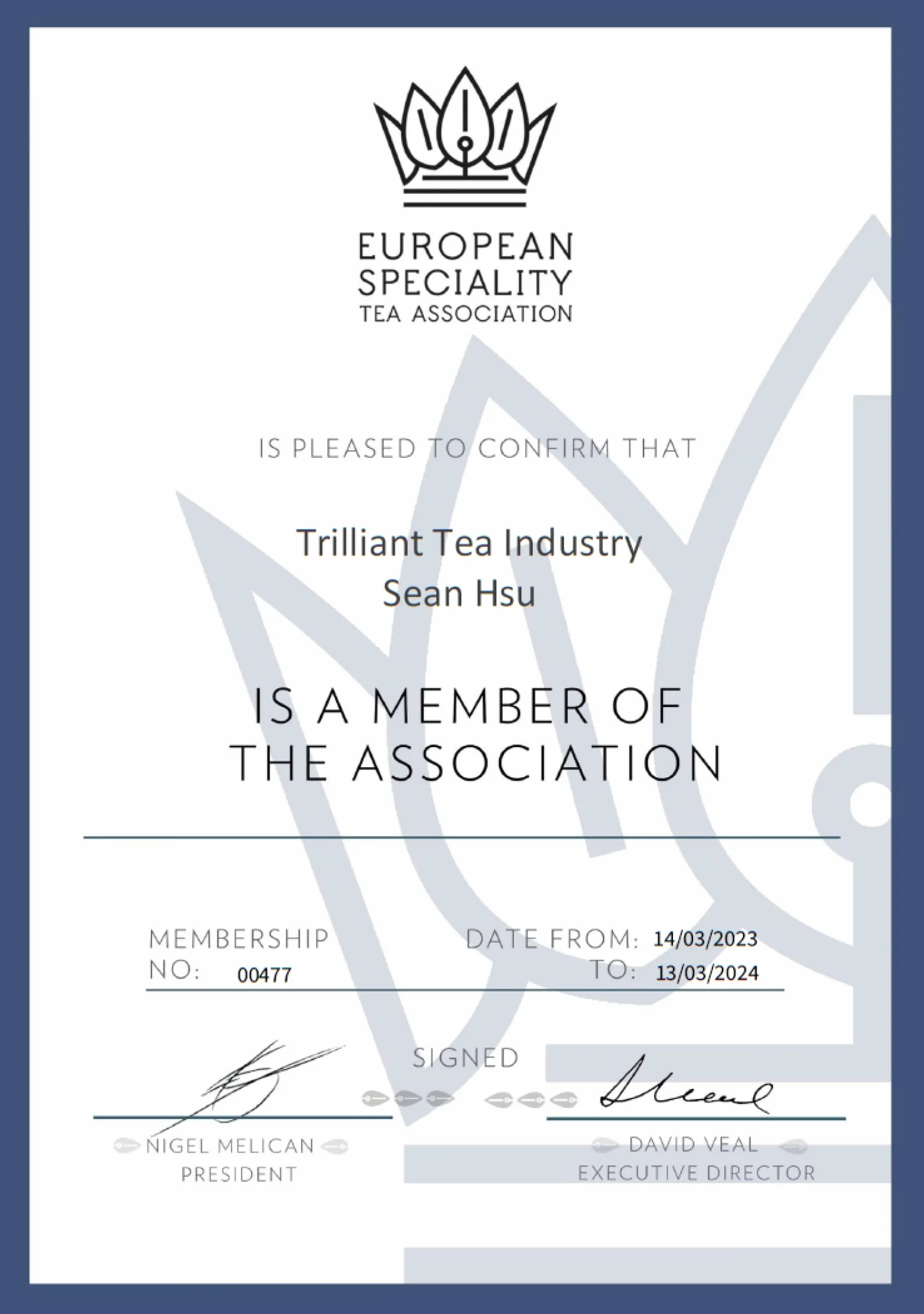 Trilliant Fomsa Tea Milky oolong herbata Jin Xuan 113 g opakowanie prezentowe