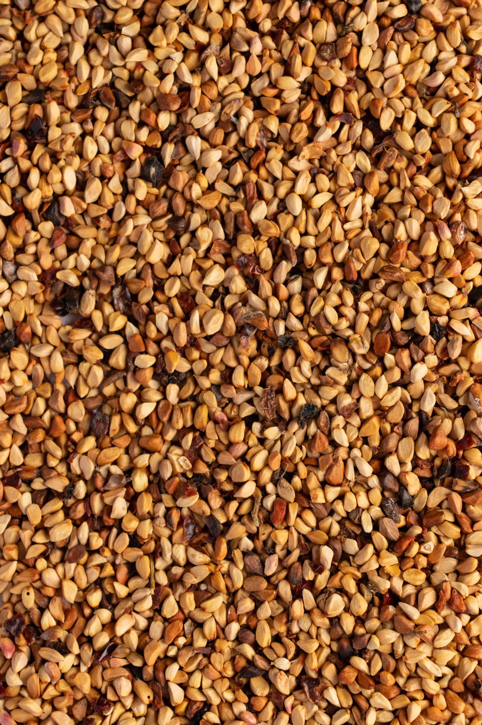 Biojoy Organiczne pestki dzikiej róży (2 kg)