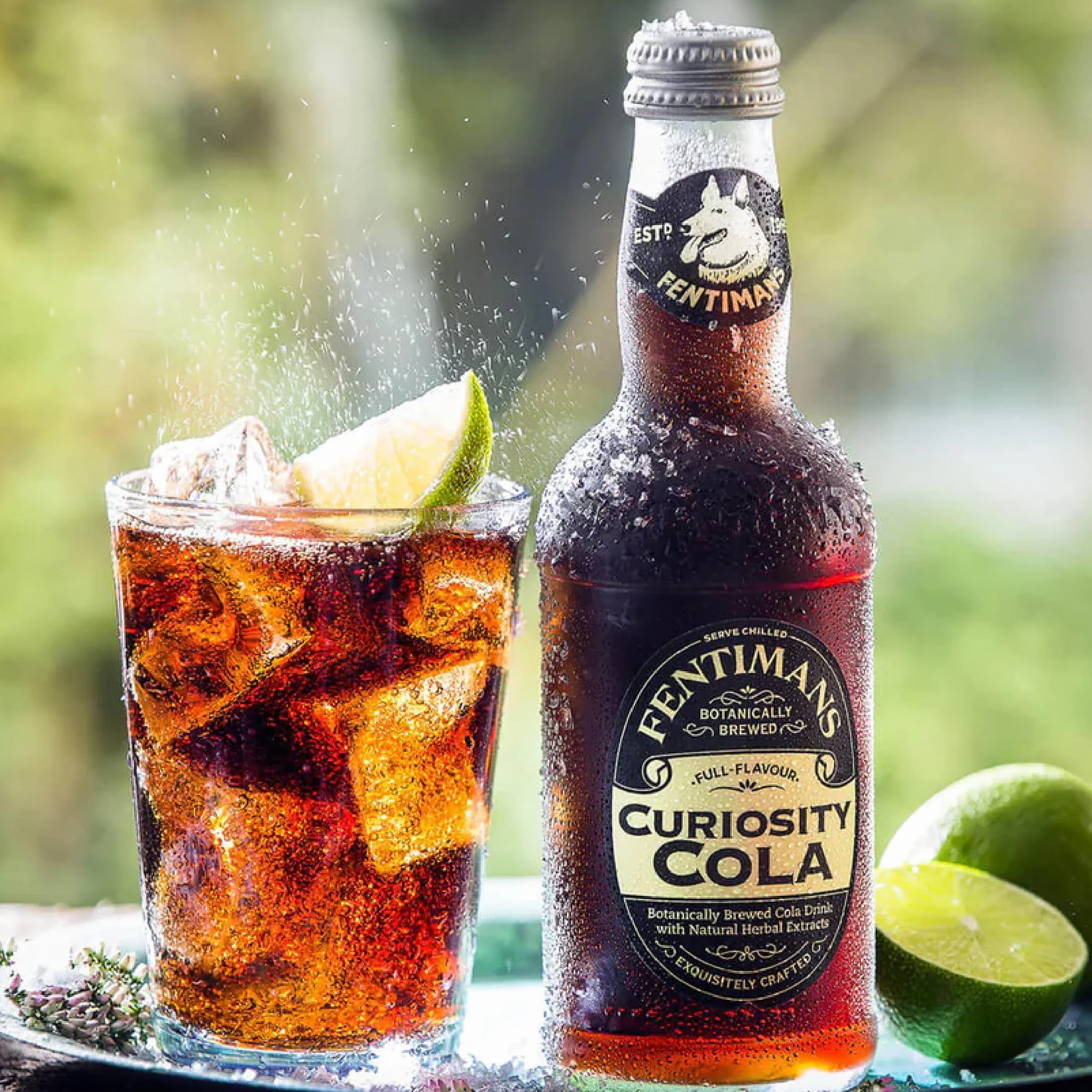 Fentimans Sparkling Curiosity Cola – zdrowy napój gazowany, naturalny napój gazowany bez sztucznych aromatów, konserwantów i słodzików, botanicznie warzony - Curiosity Cola, 275 ml (12 sztuk)