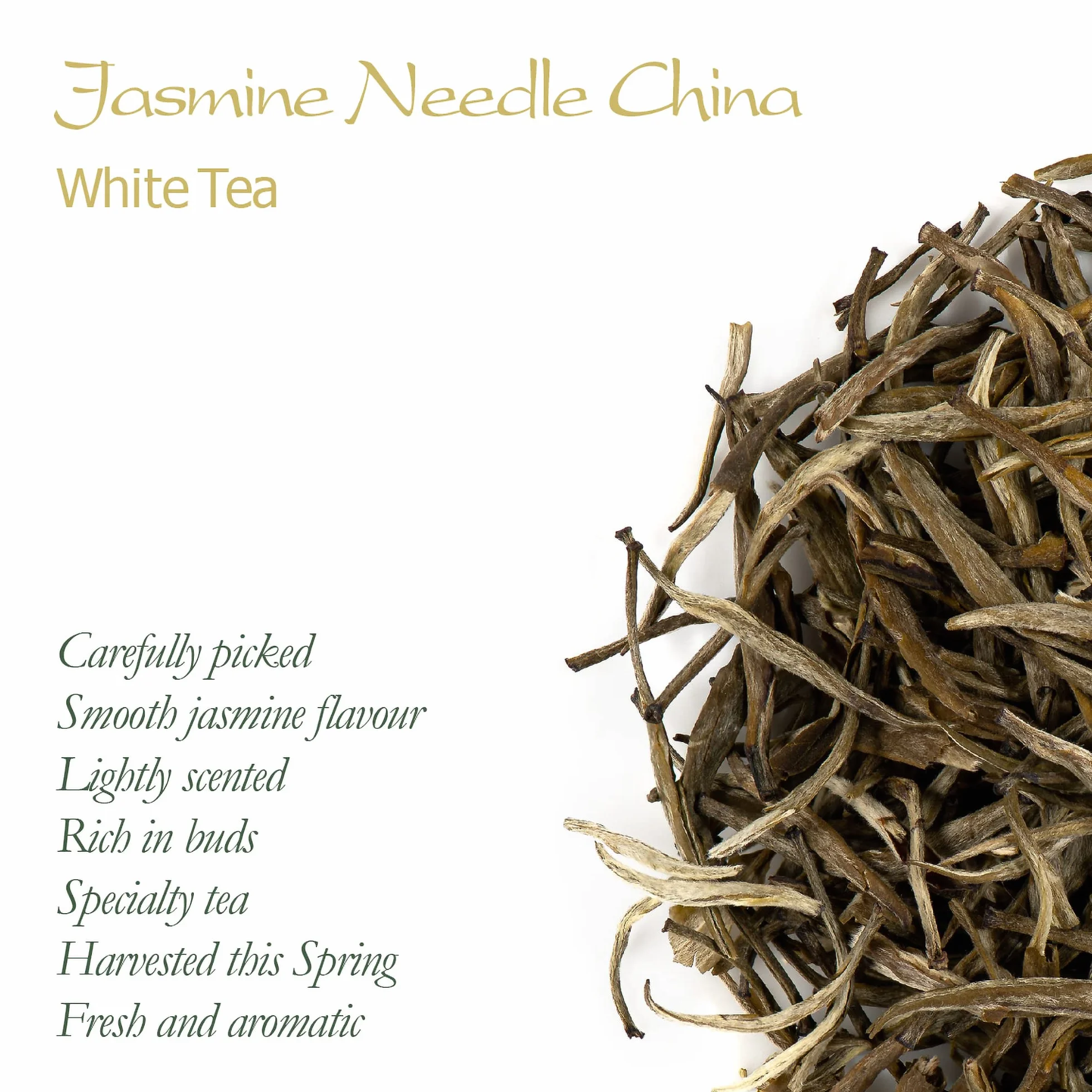 Herbata biała jaśminowa Silver Needle – herbata biała Moli Yinzhen
