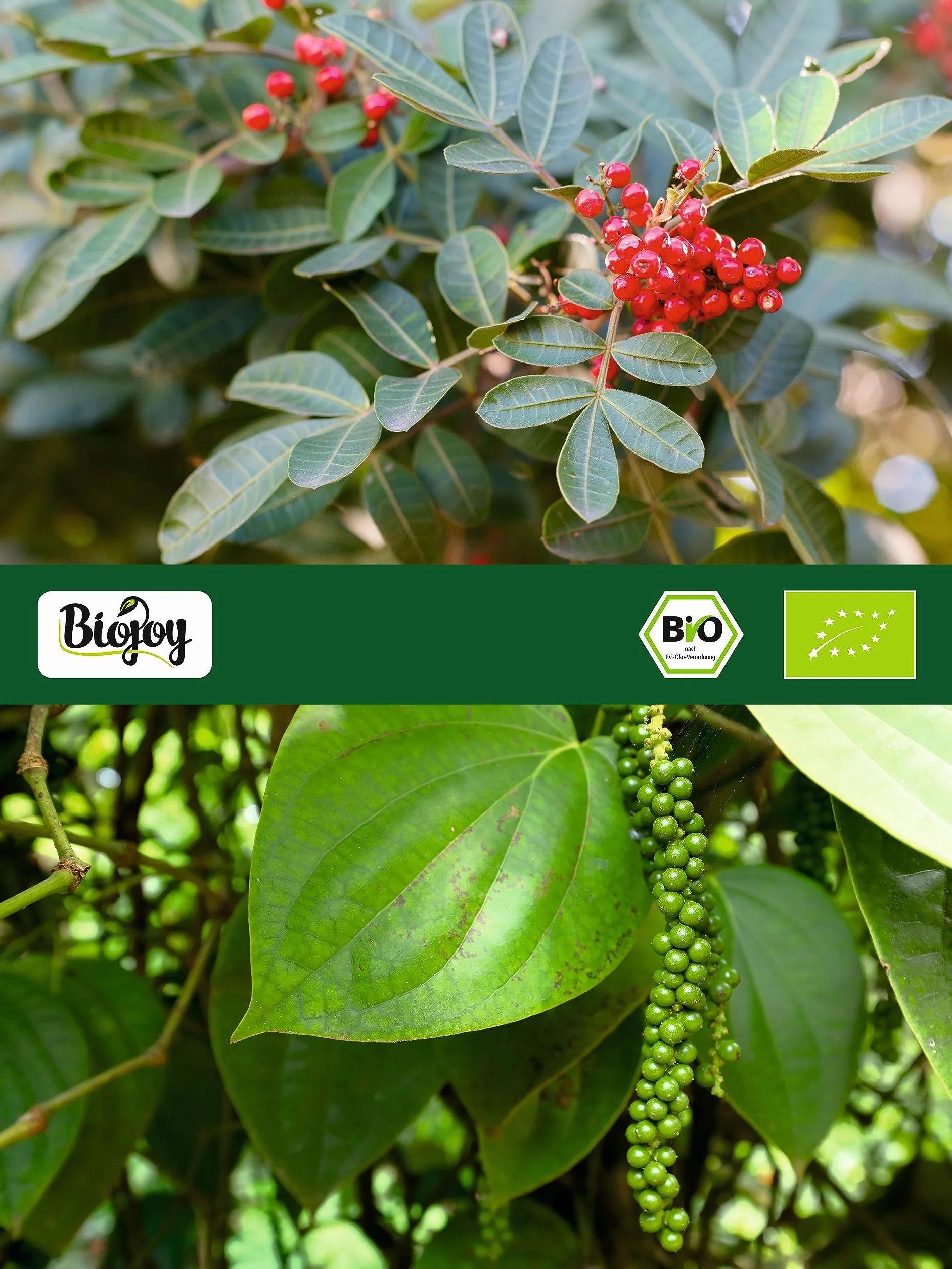 Biojoy Ekologiczny Pieprz kolorowy ziarnisty (100 g), Pieprz Mix (biały, czerwony, zielony, czarny)