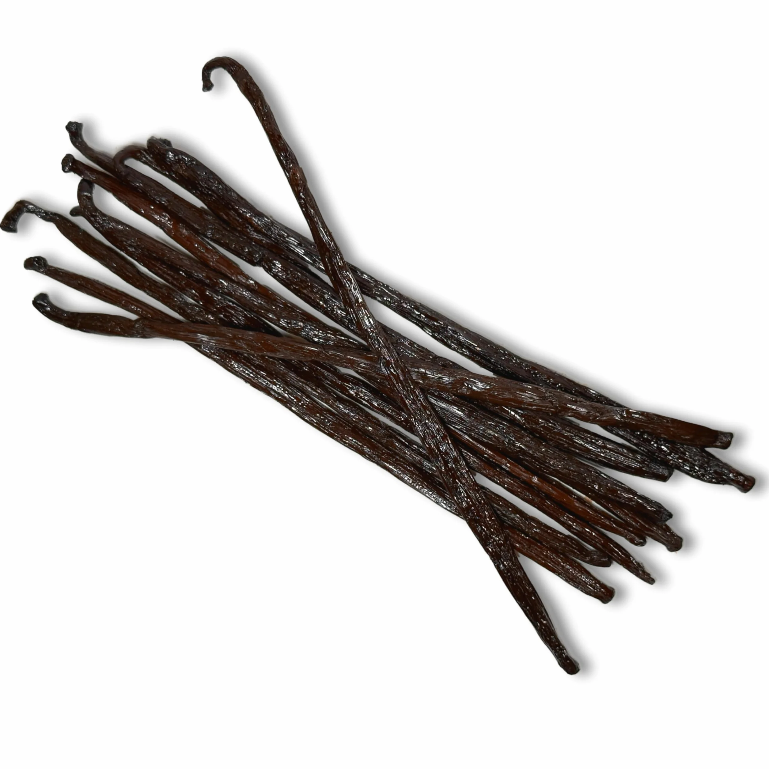 10 strąków wanilii Bourbon z Madagaskaru, klasa A, 18+ cm, 48 g