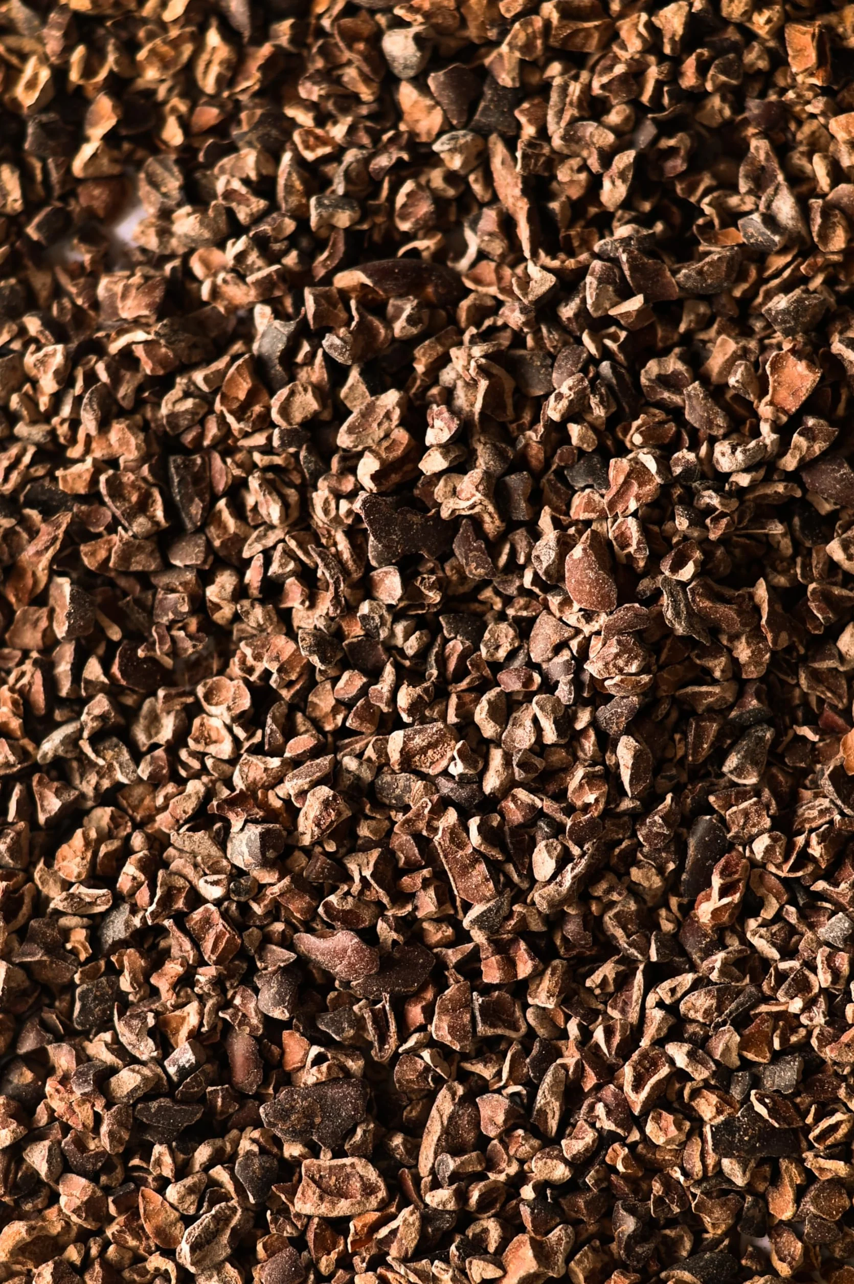 Biojoy BIO Nibsy kakaowe (500 g), surowe i bez dodatku cukru, Cacao nibs (Theobroma cacao)