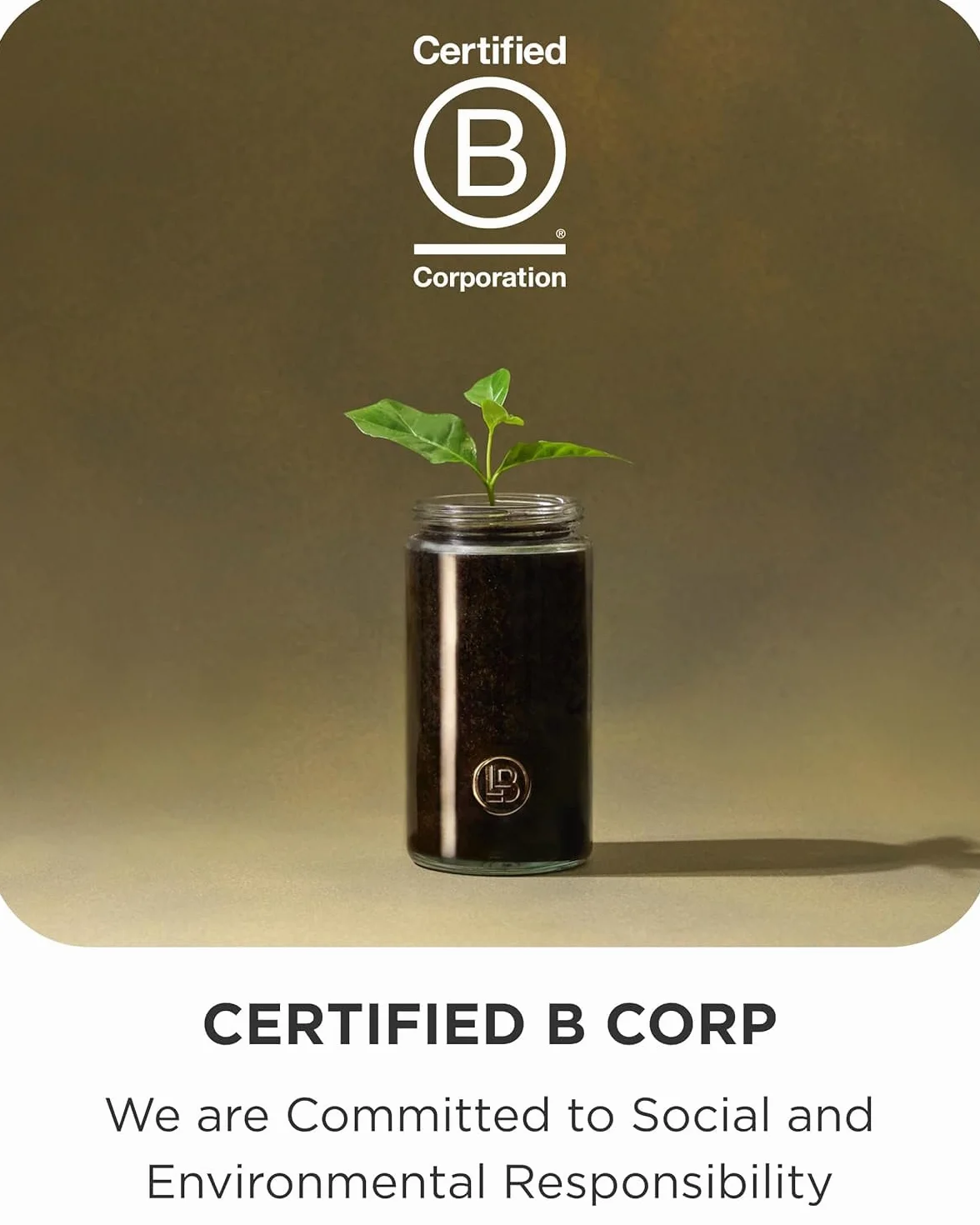 LAKRIDS BY BÜLOW CRISPY KARMEL - 115 g - Lukrecja dla smakoszy w czekoladzie - słodka lukrecja z czekoladą dulce, surową lukrecją w proszku i solą morską