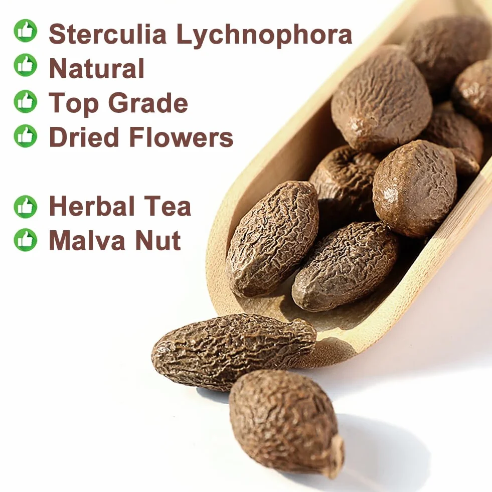Plant Gift Malva Nut, Dried Sterculia Lychnophora Tea, 胖大海 Malva Nakrętka, Suszona Herbata Stertulia Lychnophora, Lychnophora Hypotensywny, Suszone Pangdahai 125g/4.4oz