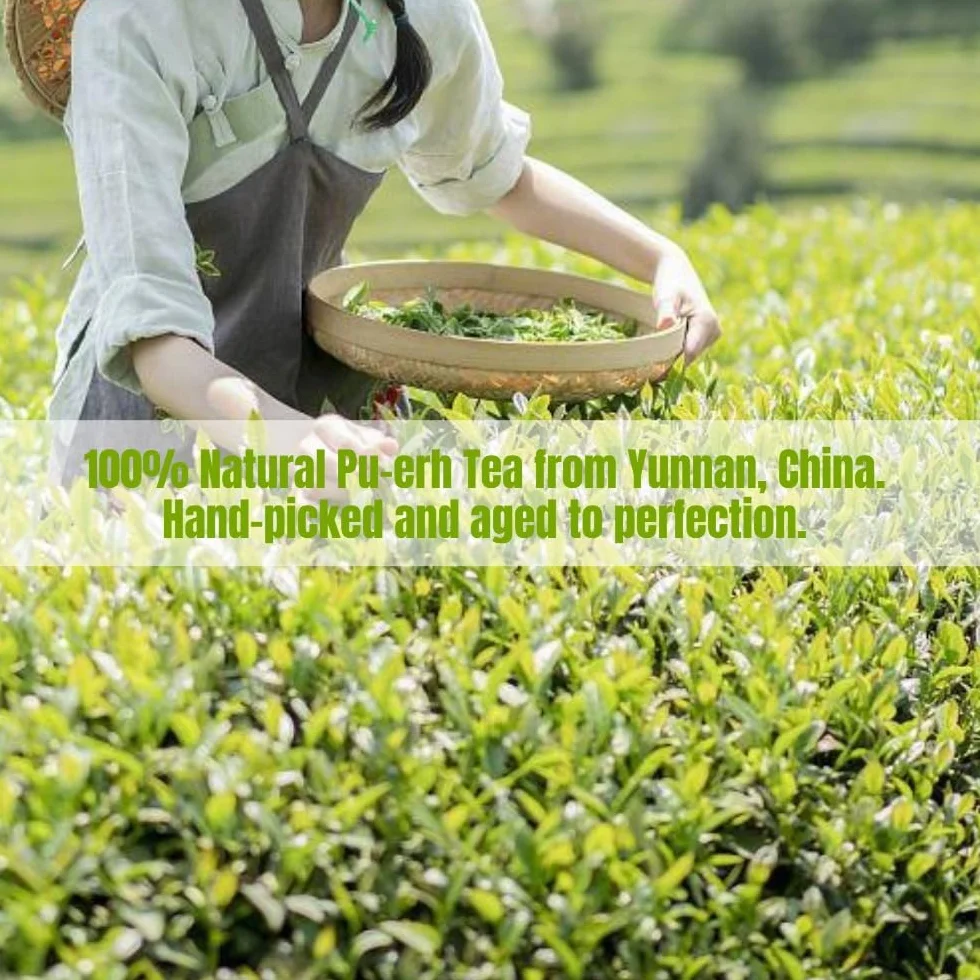 Wykwintne żelazne pudełko Herbata Pu 'er - Herbata różana Yunnan Pu' erh - Herbata Mini Tuo - Herbata czarna 75g (15 sztuk w pudełku)