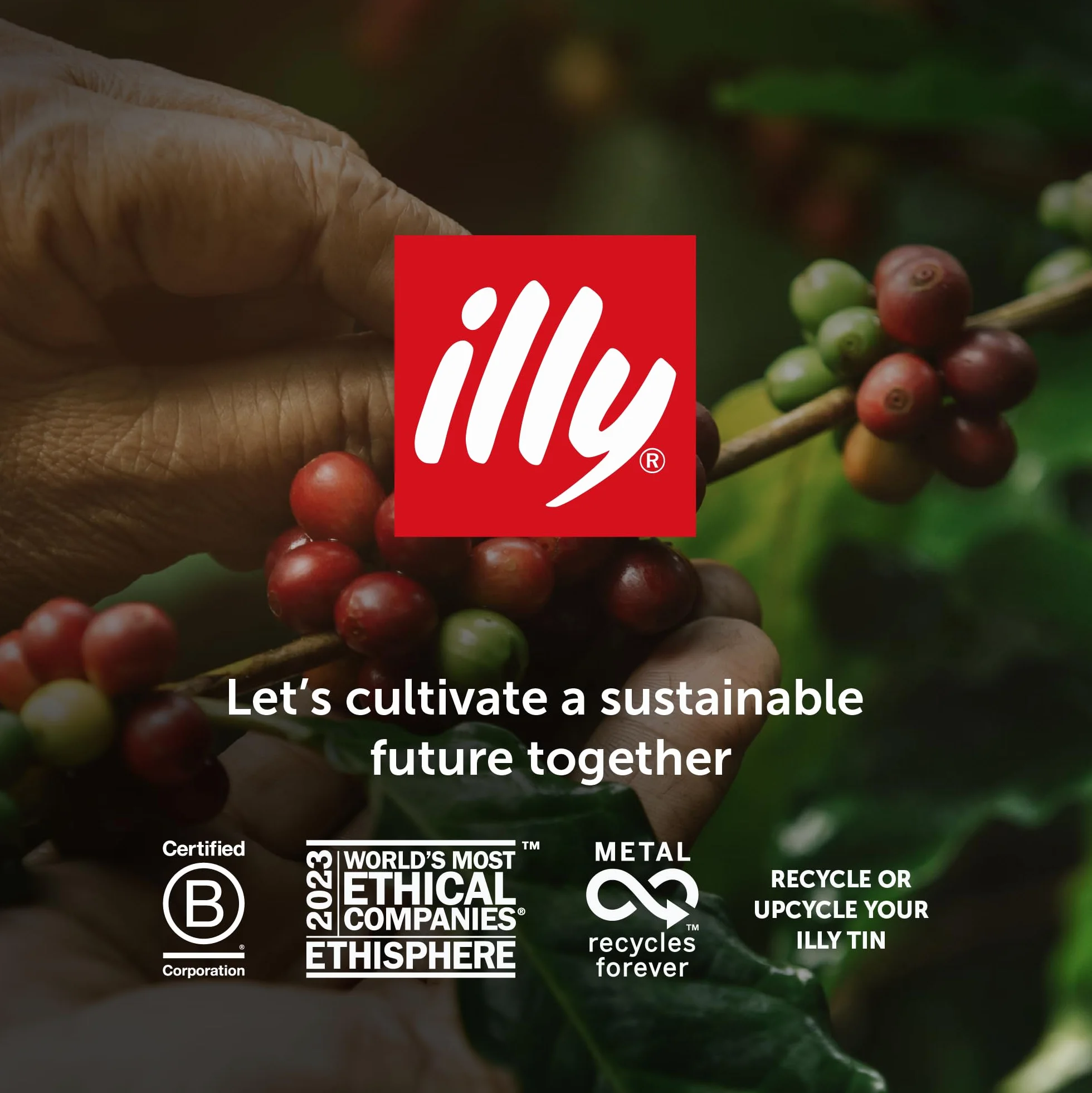Illy Cafe mielona espresso Classico, 100% arabica - pudełko 250g