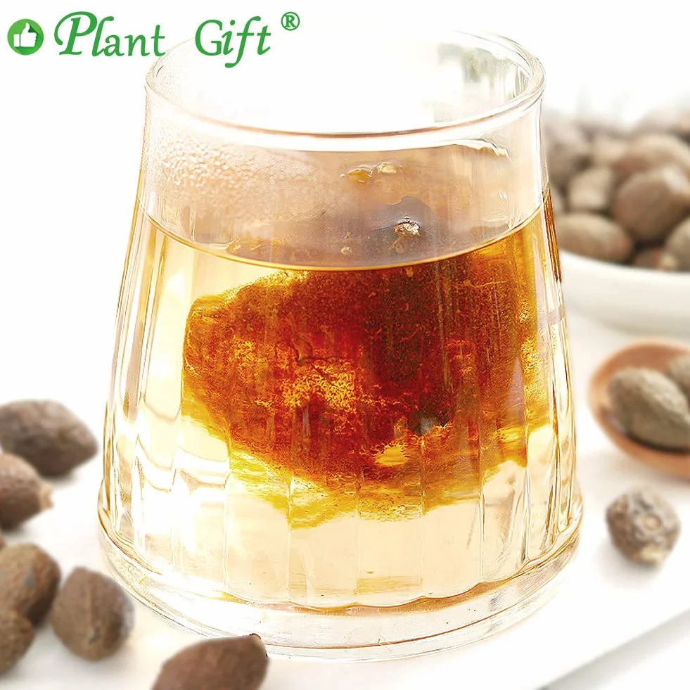 Plant Gift Malva Nut, Dried Sterculia Lychnophora Tea, 胖大海 Malva Nakrętka, Suszona Herbata Stertulia Lychnophora, Lychnophora Hypotensywny, Suszone Pangdahai 125g/4.4oz