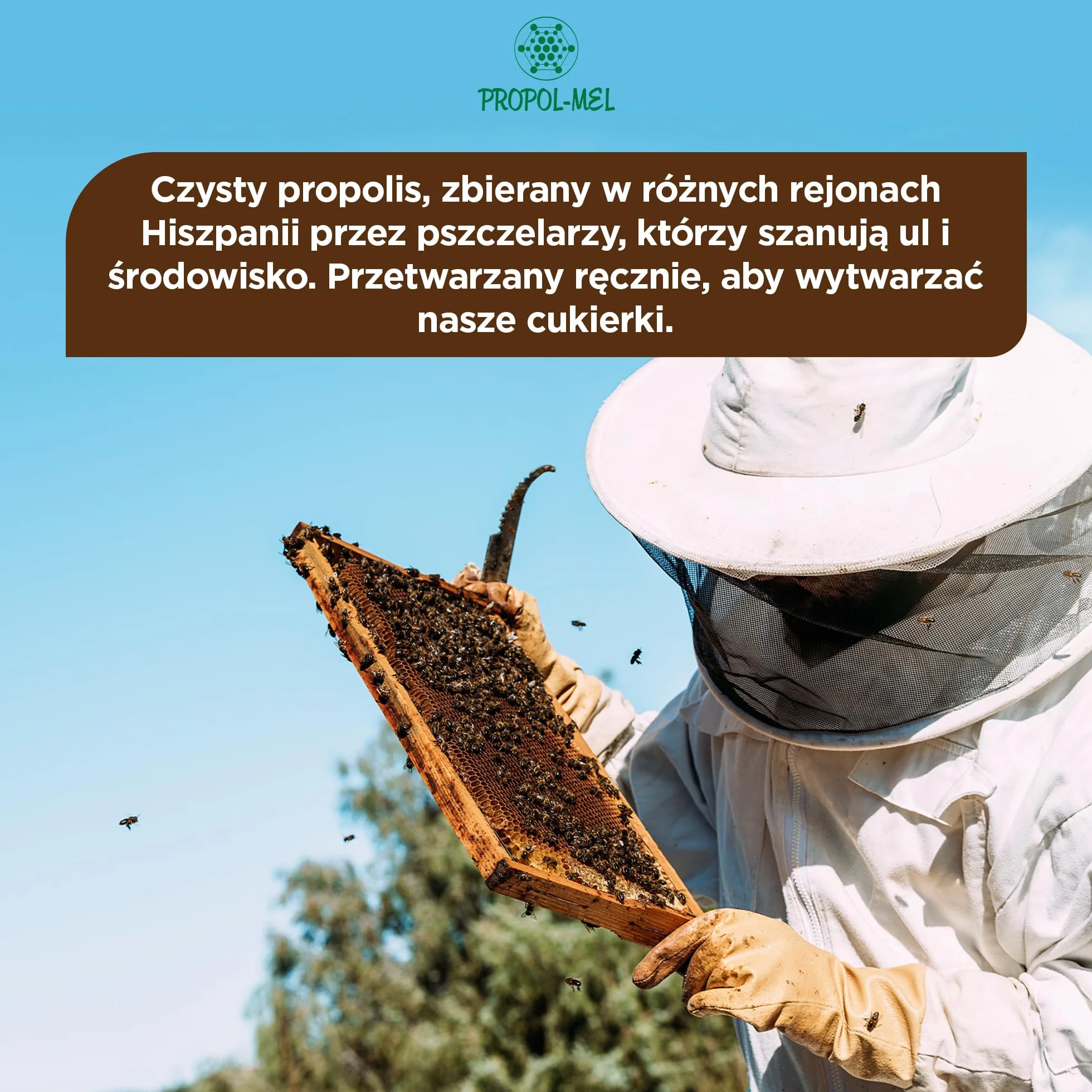 500 g - Cukierki Propolis Bezglutenowe i Bez Cukrowe. Wykonane z drobno posiekanego czystego propolisu. Polecany przy nieświeżym oddechu, narządach jamy ustnej i gardle. Odwiedź sklep Propol-Mel